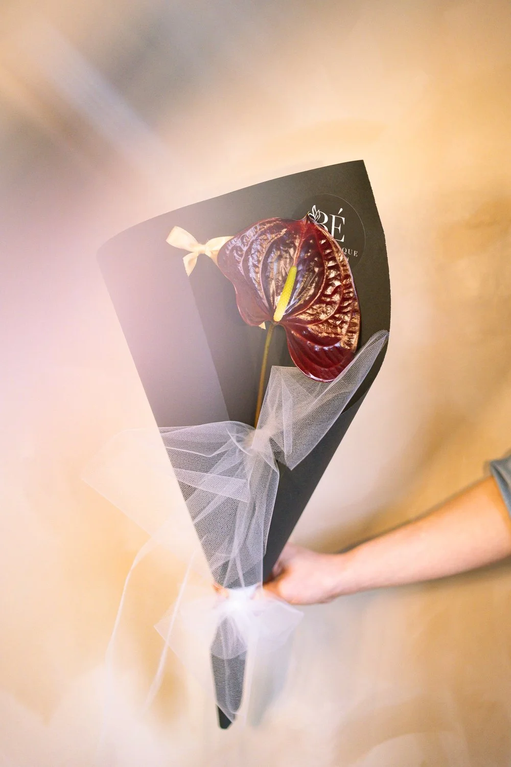 Belle Epoque Hamilton Florist - Spring Flowers 2026-101.jpg