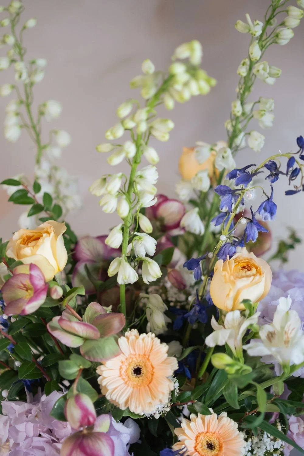 Belle Epoque Hamilton Florist - Spring Flowers 2026-019.jpg