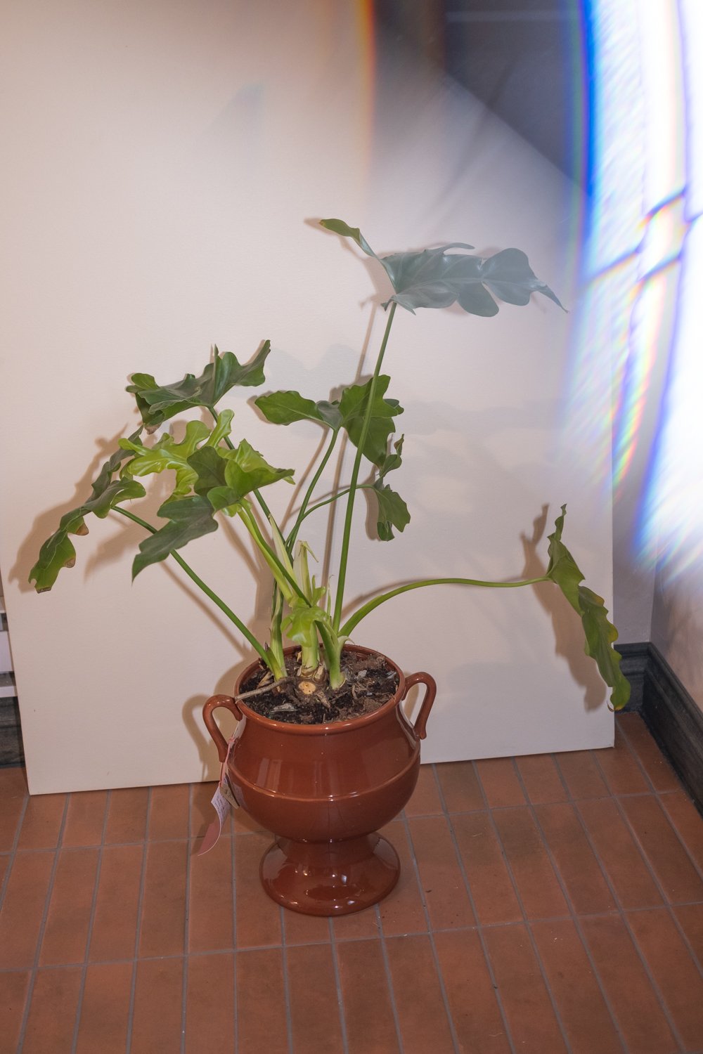 Belle Epoque Hamilton Florist-128.jpg