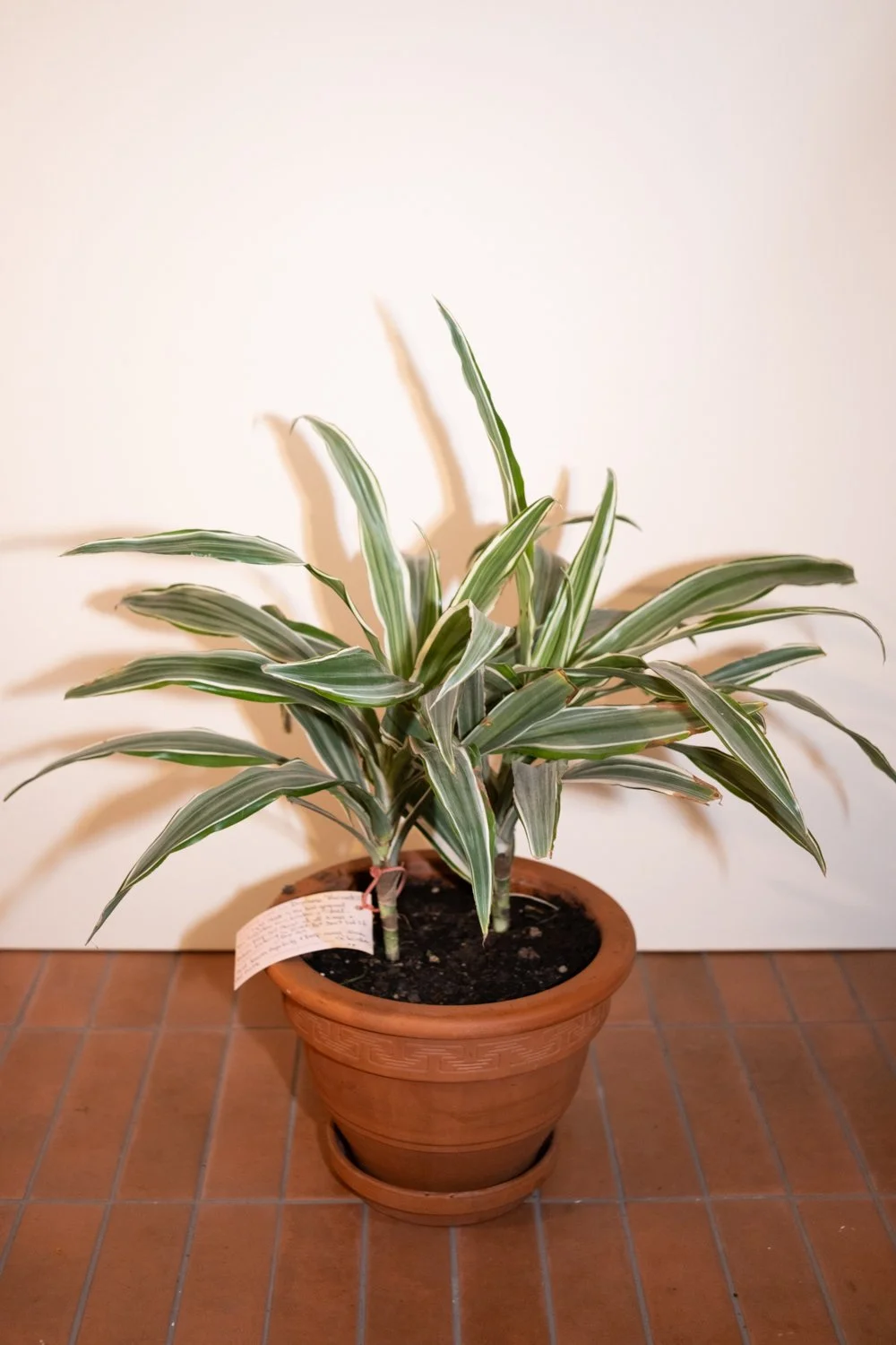 Belle Epoque Hamilton Florist-149.jpg