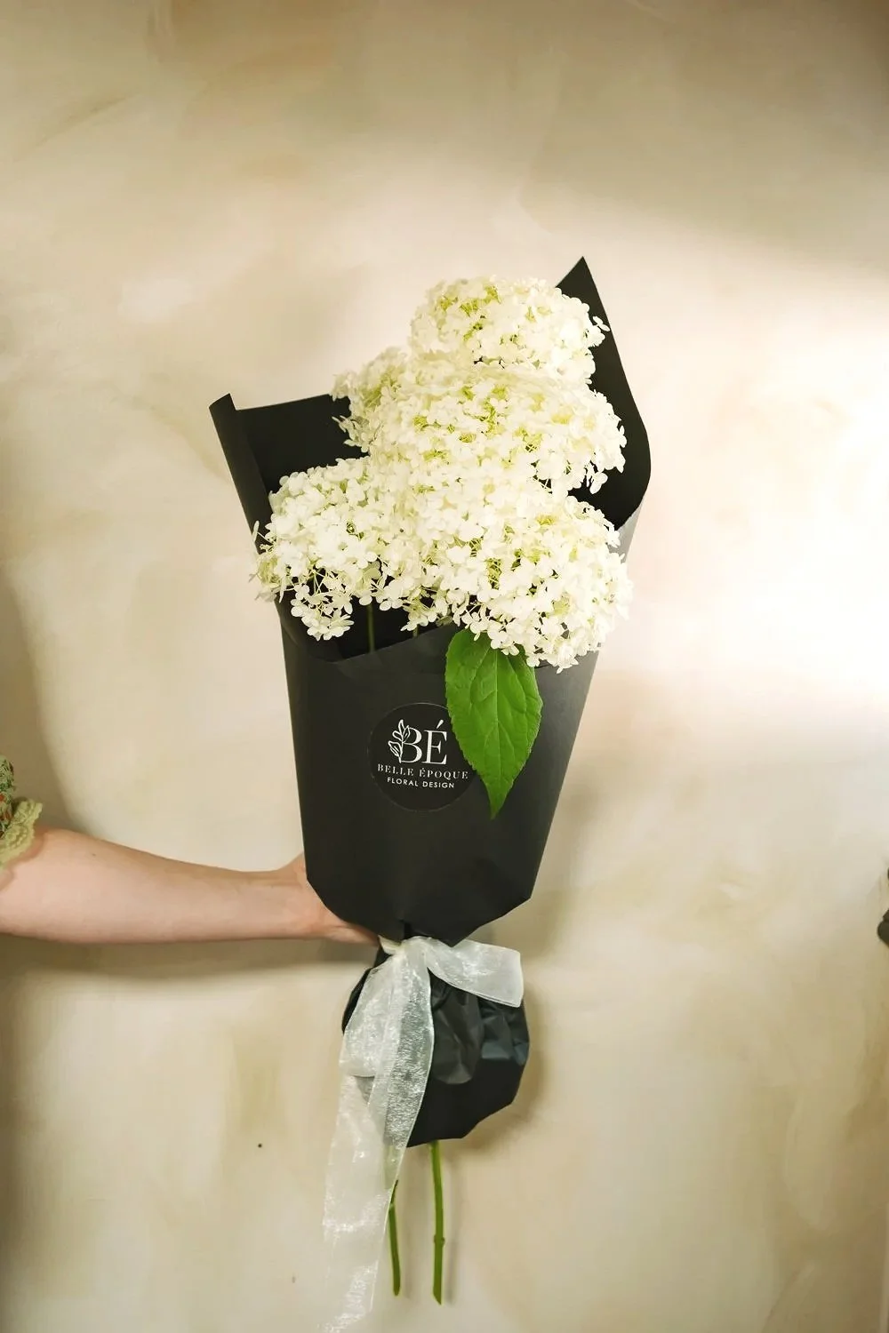 Belle+Epoque+Hamilton+Florist+-+Summer+2026-023.jpg