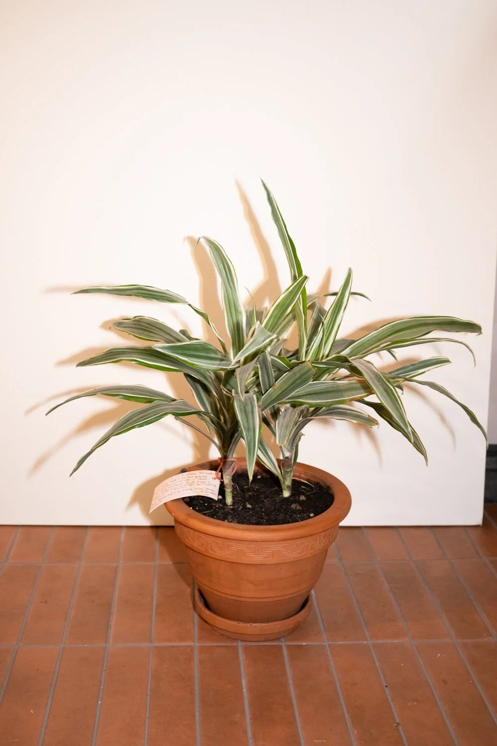 Belle Epoque Hamilton Florist-148.jpg