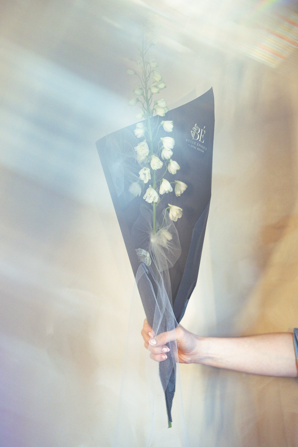 Belle Epoque Hamilton Florist - Spring Flowers 2026-093.jpg