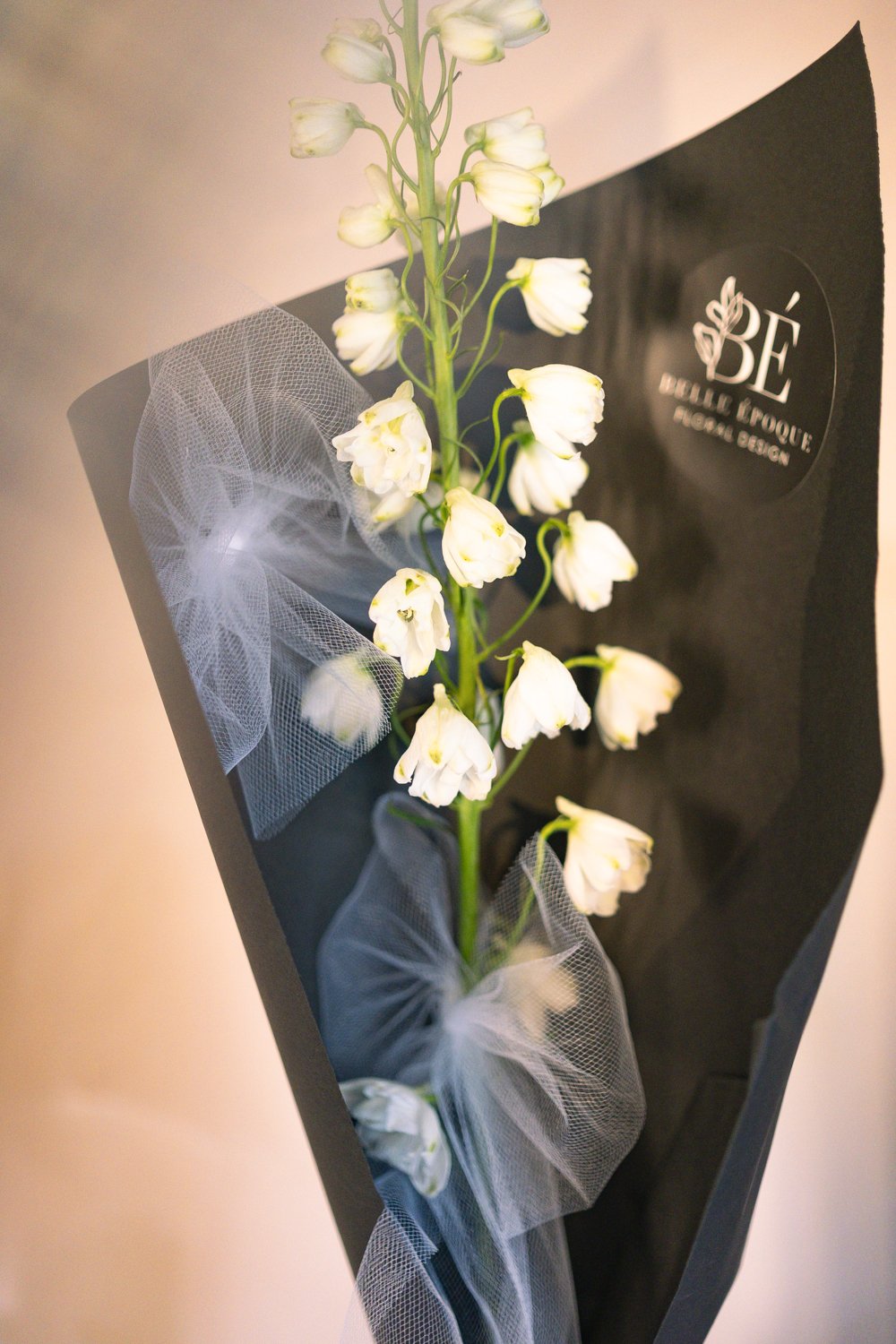 Belle Epoque Hamilton Florist - Spring Flowers 2026-097.jpg