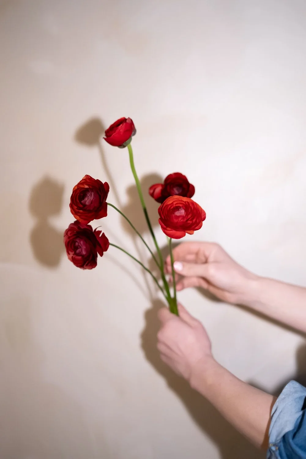 Belle Epoque Hamilton Florist Spring-2.jpg