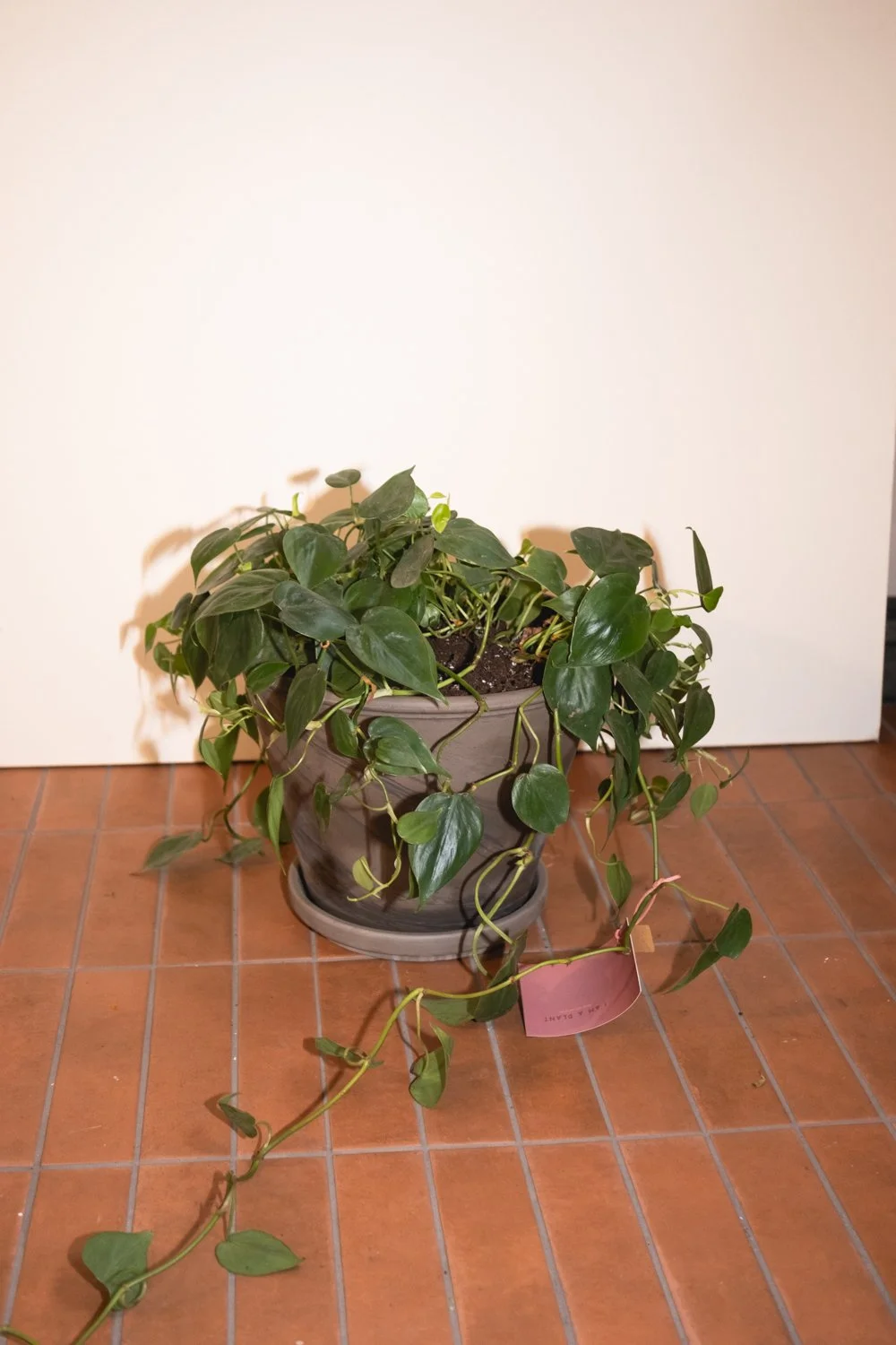 Belle Epoque Hamilton Florist-146.jpg