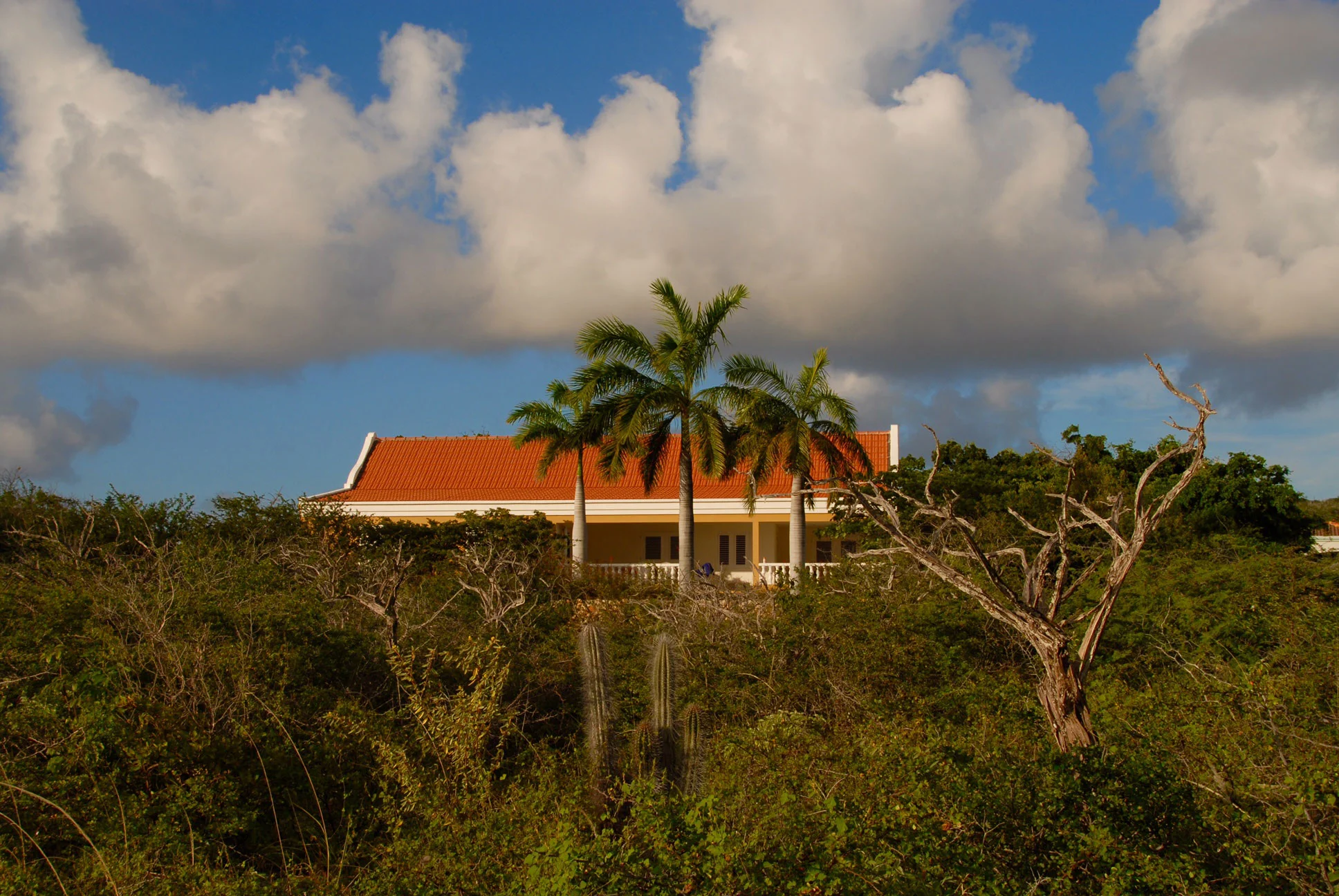 Best Oceanfront Rental Villa Bonaire