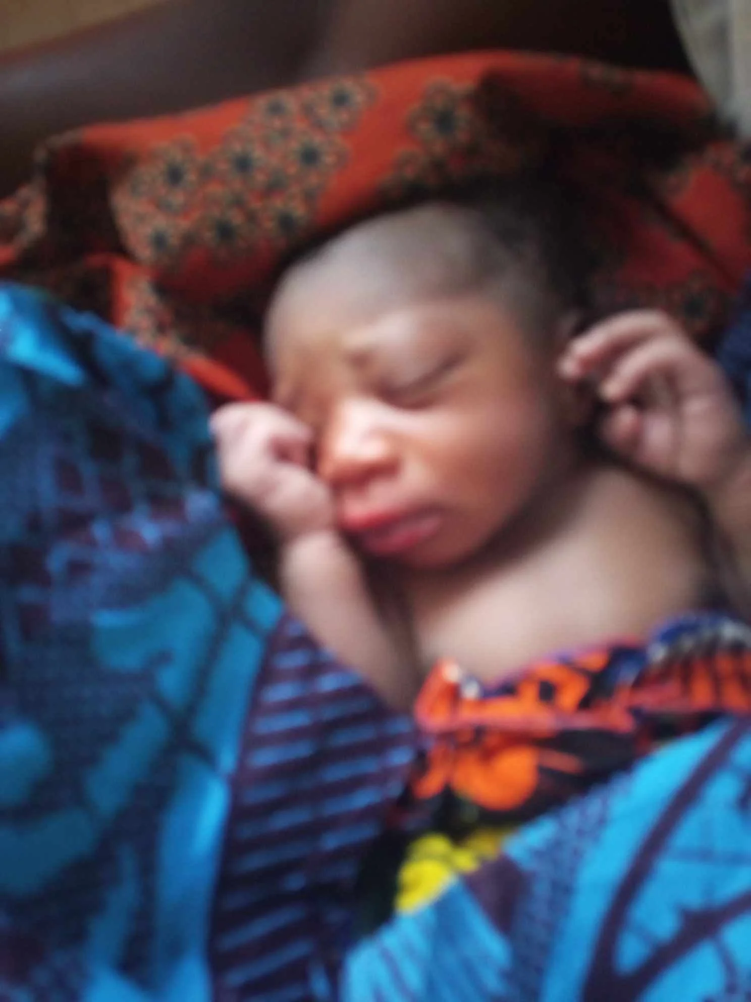 Thank you for making the Spring 2024 Fundraiser a  success!