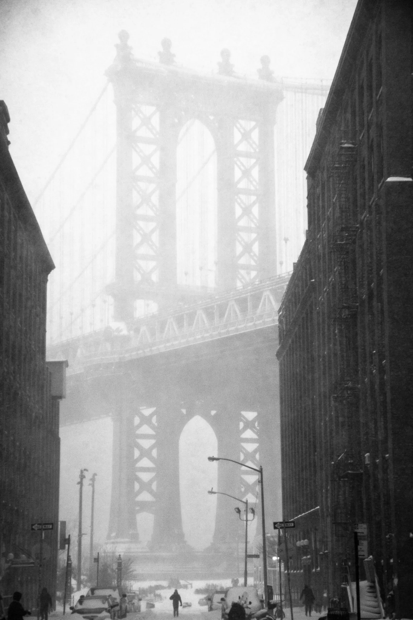 Dumbo