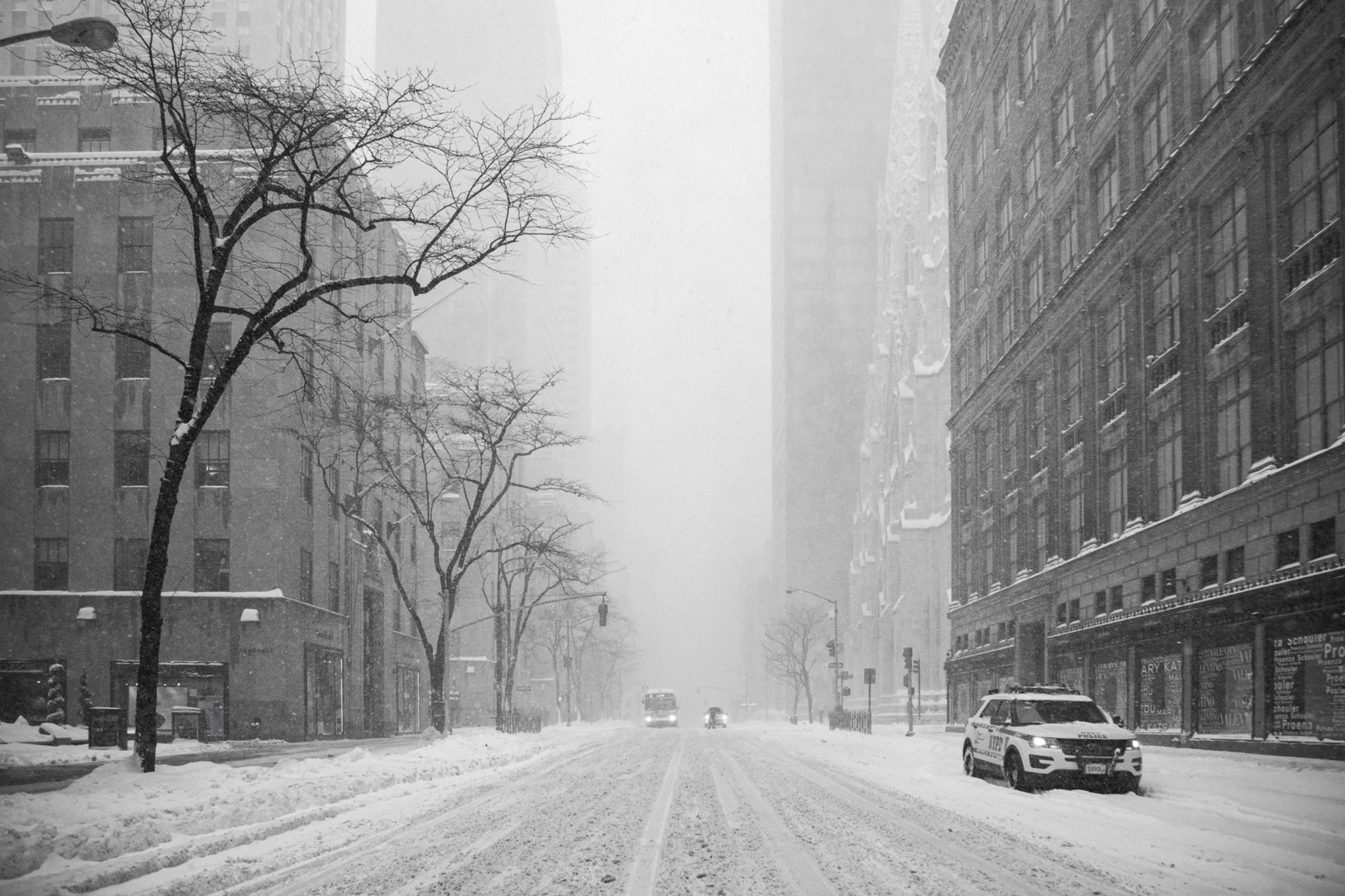 Fifth Avenue