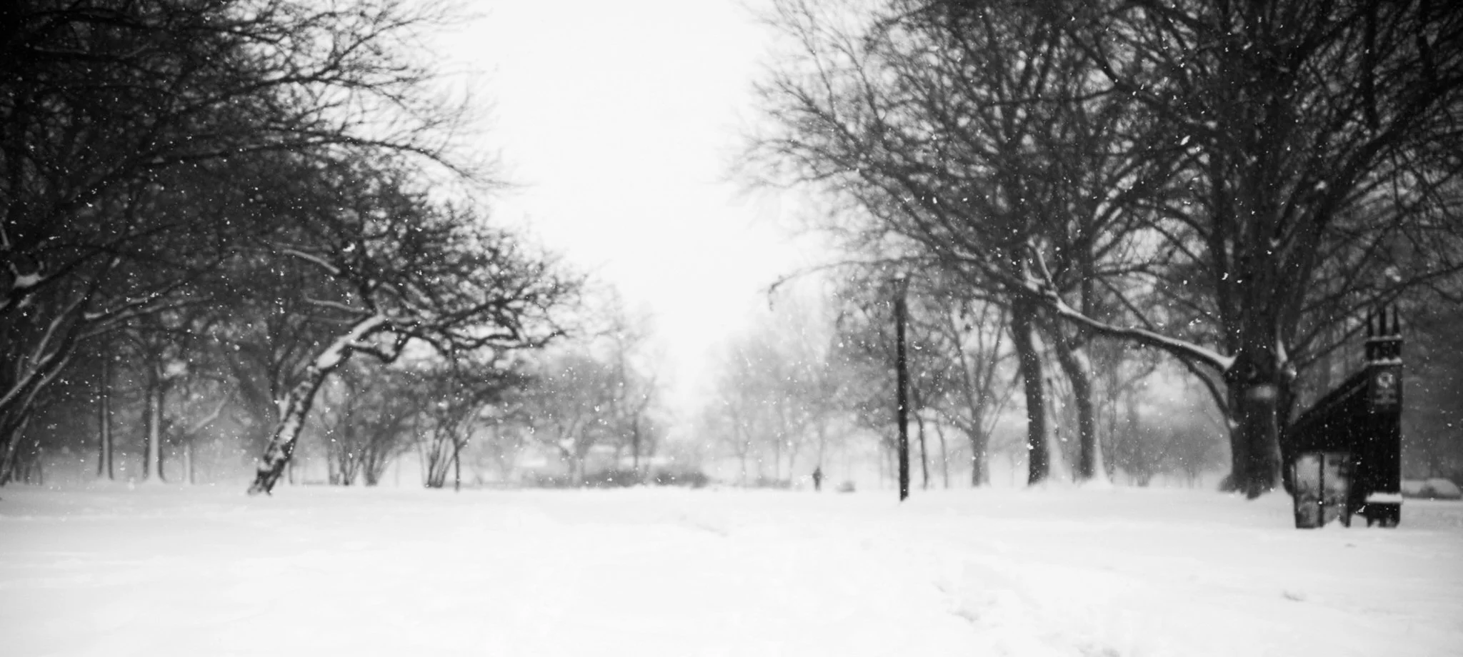 McCarren Park