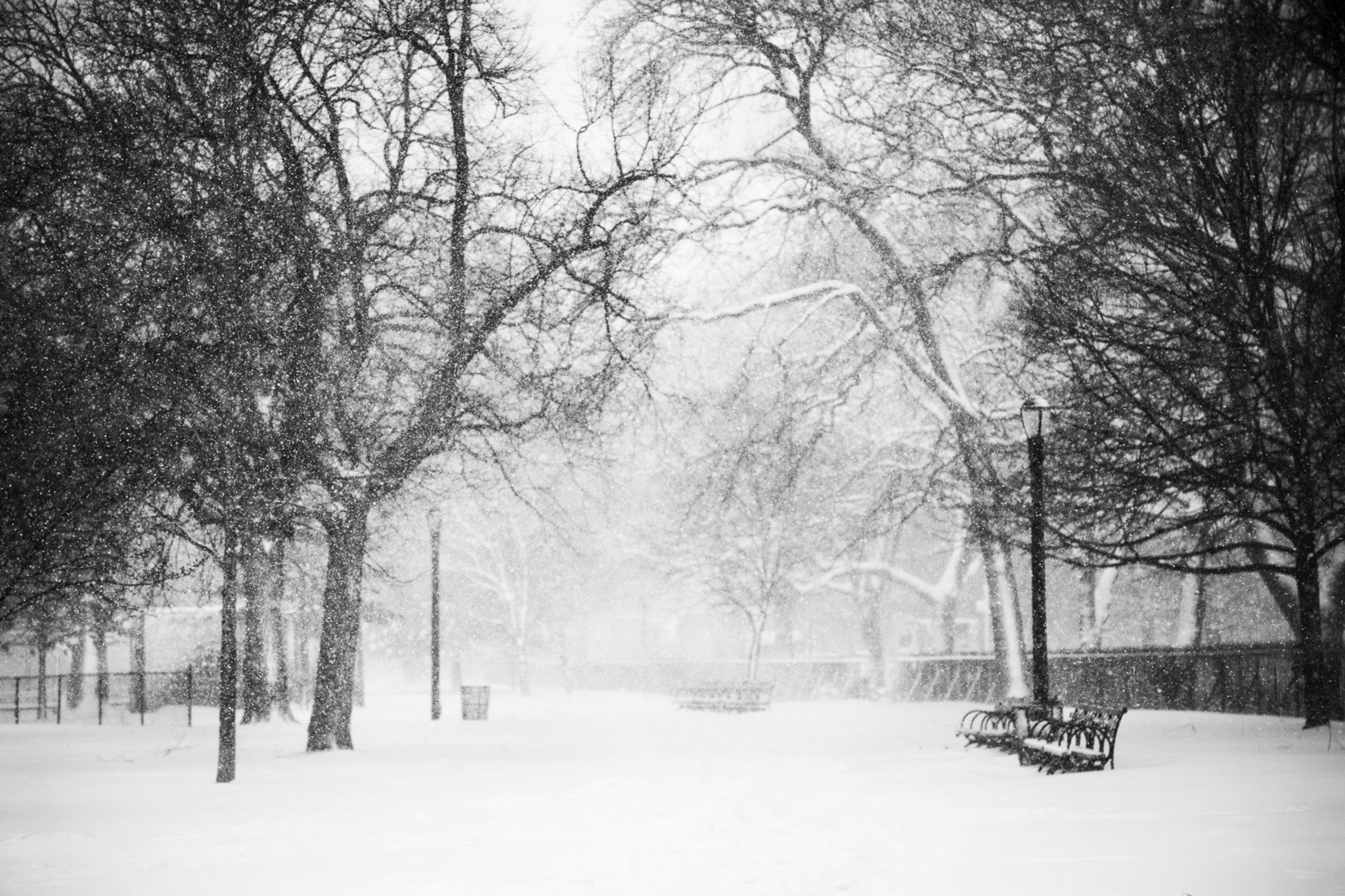 McCarren Park