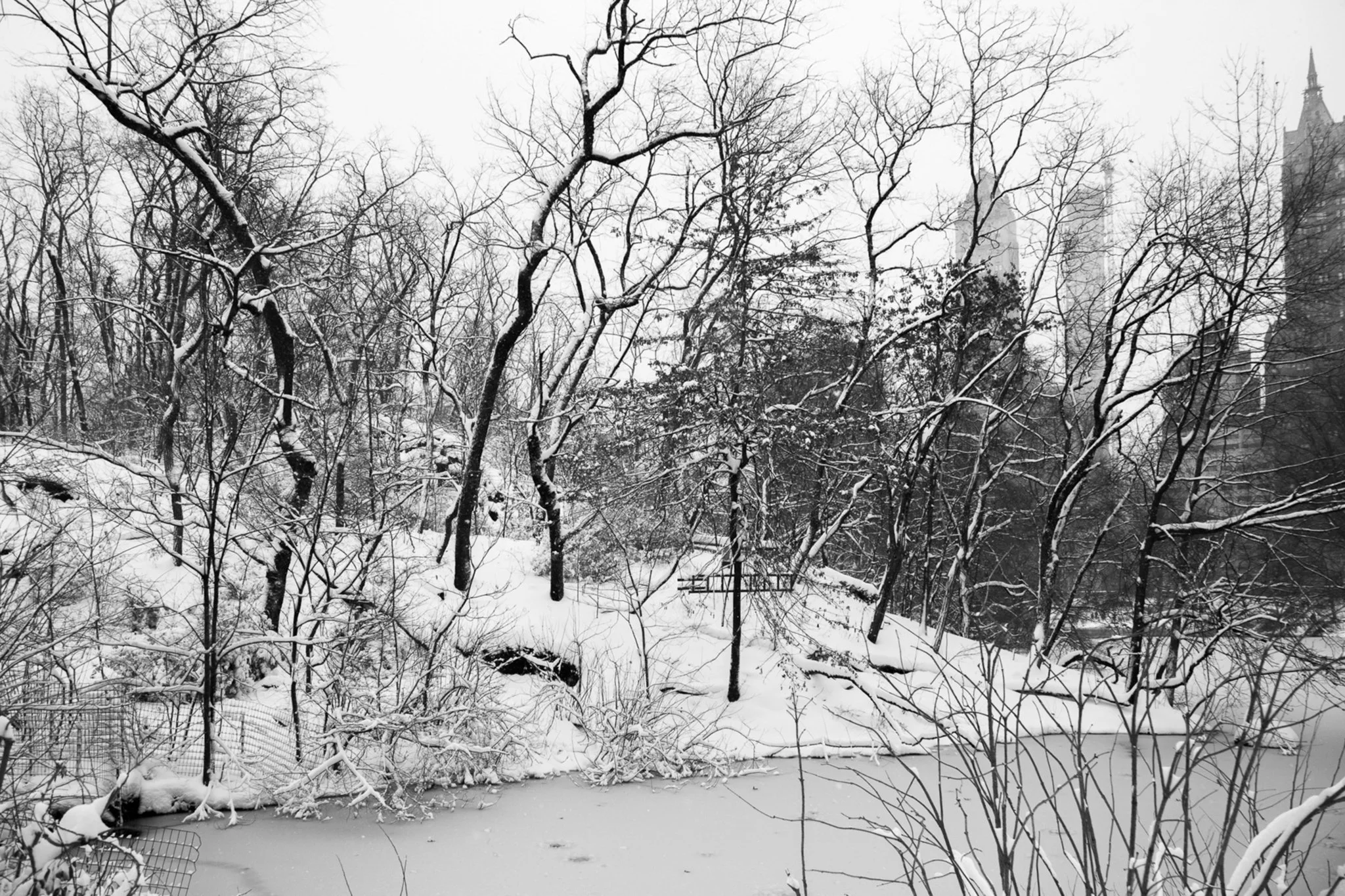 Central Park