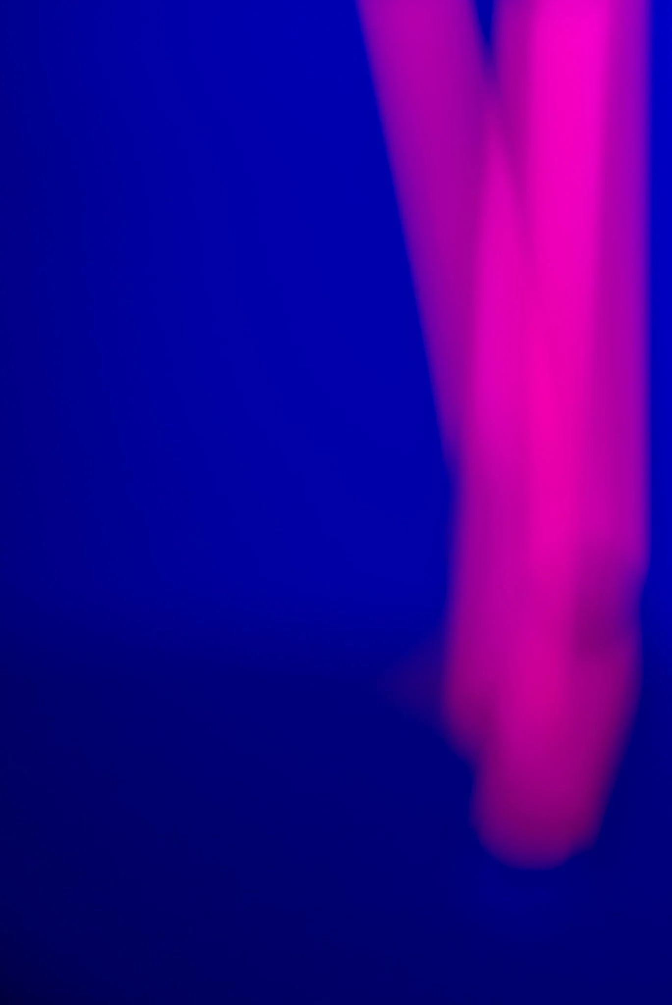 Lights_-2.jpg
