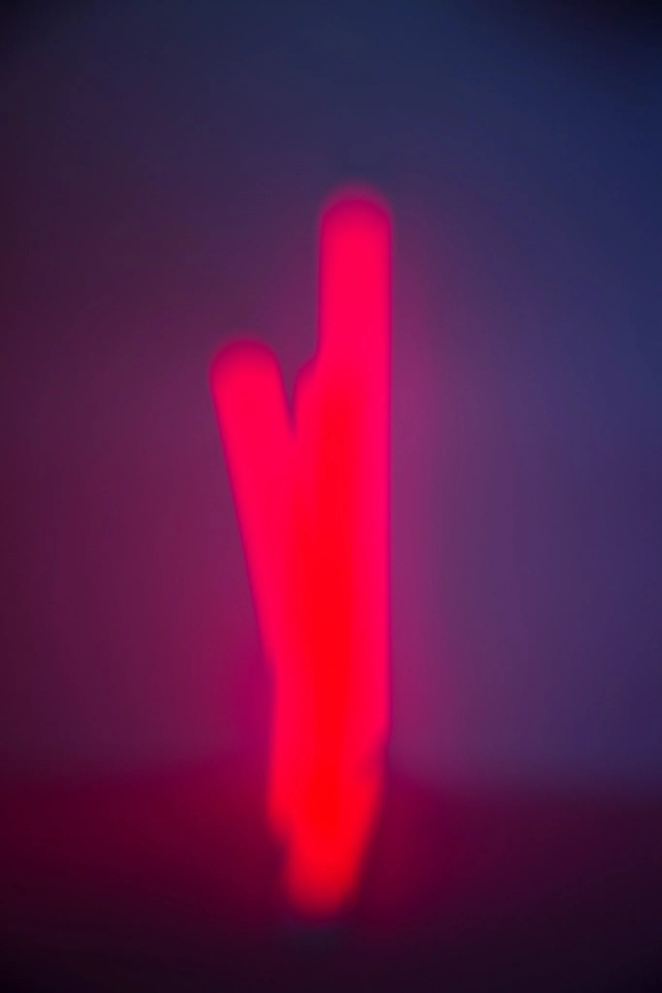 Lights_-1.jpg
