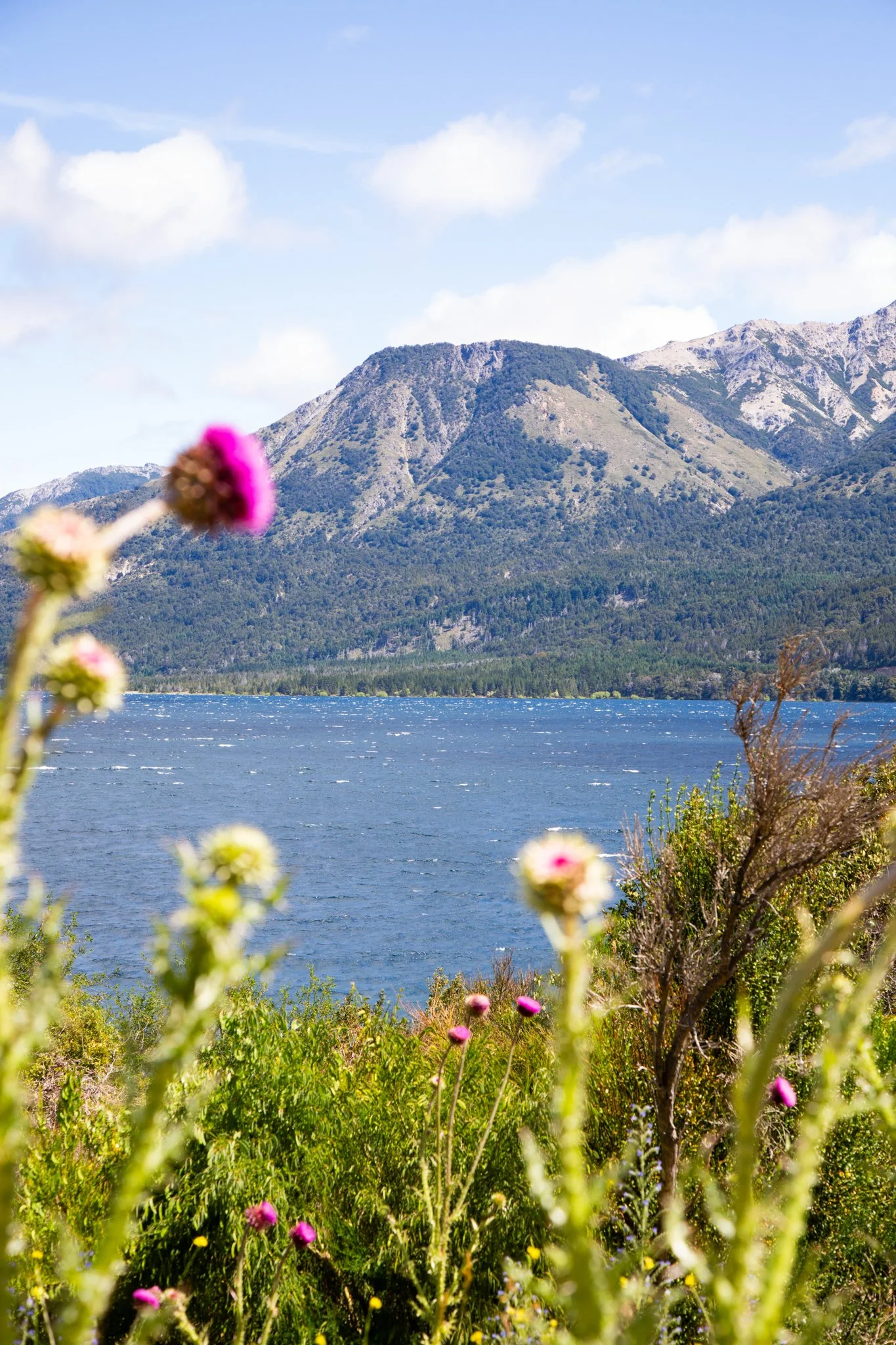 Bariloche-2.jpg