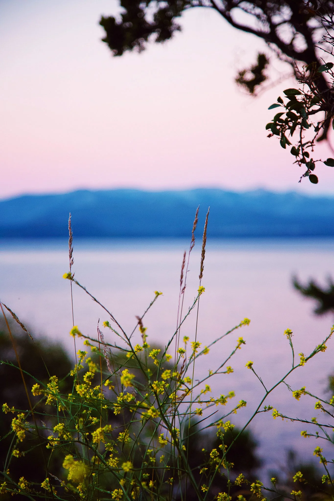 Bariloche-6.jpg