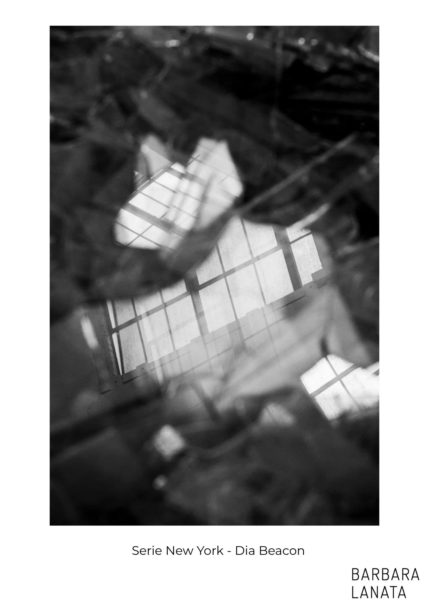 CATALOGO WEB (Website) (1).jpg