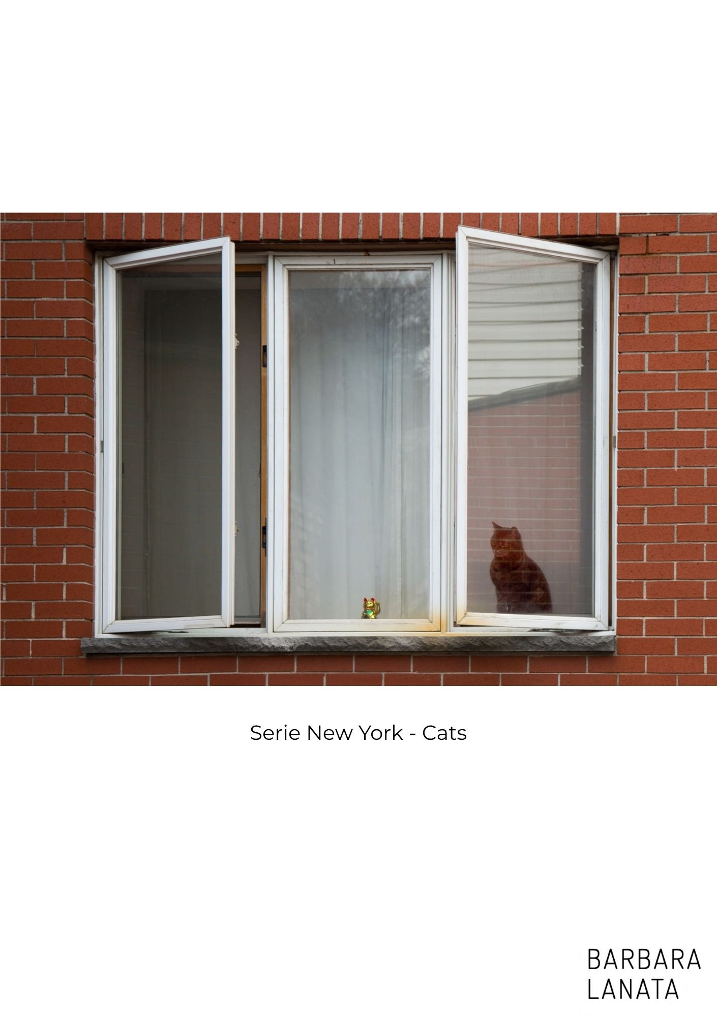 CATALOGO WEB (Website) (2).jpg