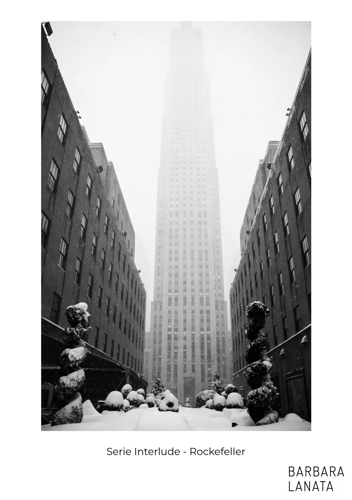 CATALOGO WEB (Website) (4).jpg