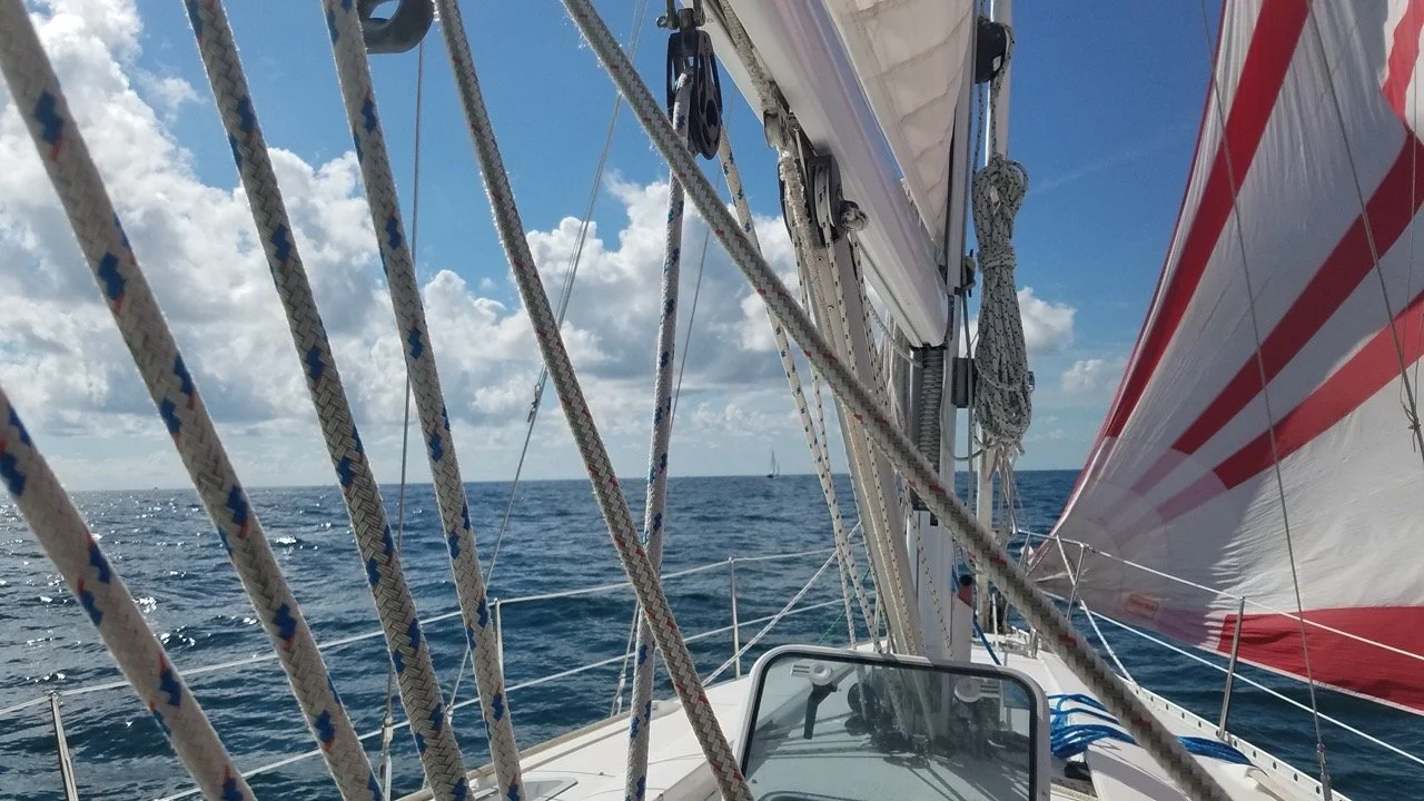 Private sailing destino charters miami Large.jpeg