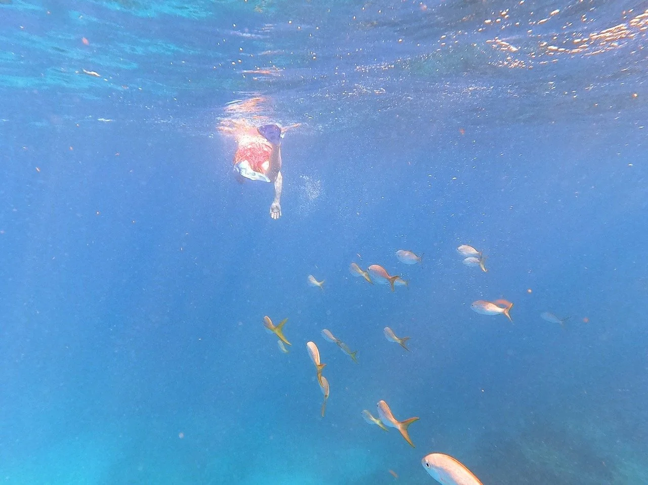 Miami - Key Largo Sailing Adventure |  4 Days/3 Nights Sailing and more