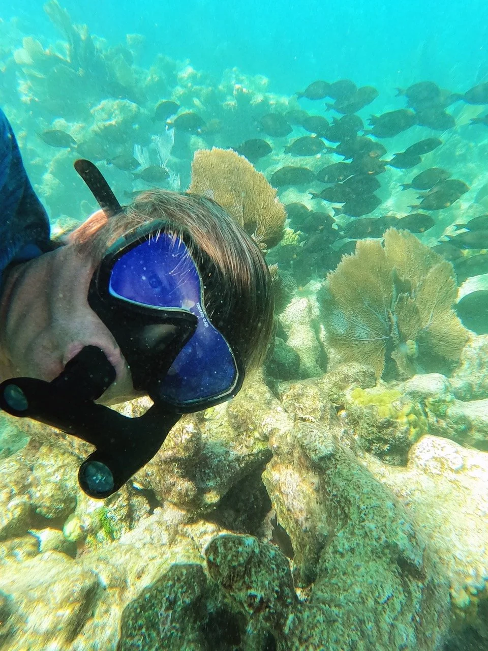 miami coral reef private sailing.jpeg