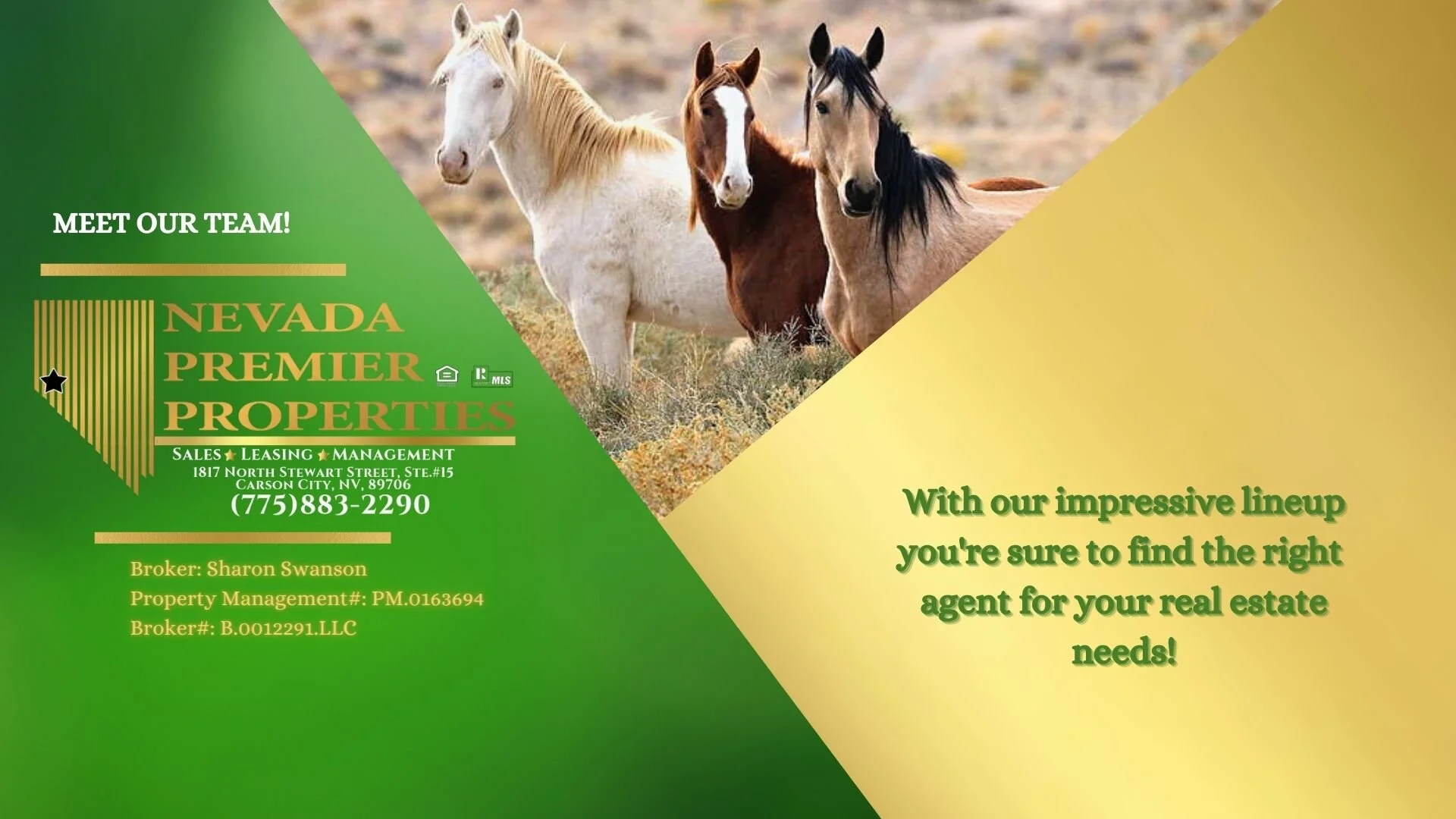 Real Estate Agents in Carson City, NV — Nevada Premier Properties