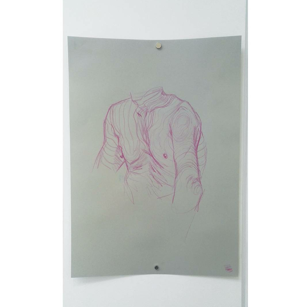   Contours  Colour pencil on paper 