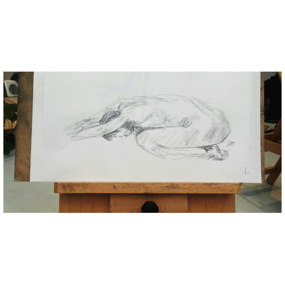  Lay Me Down to Rest   Charcoal / Pencil on paper 