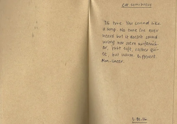 01.01.16 C# Semi-breve.jpg