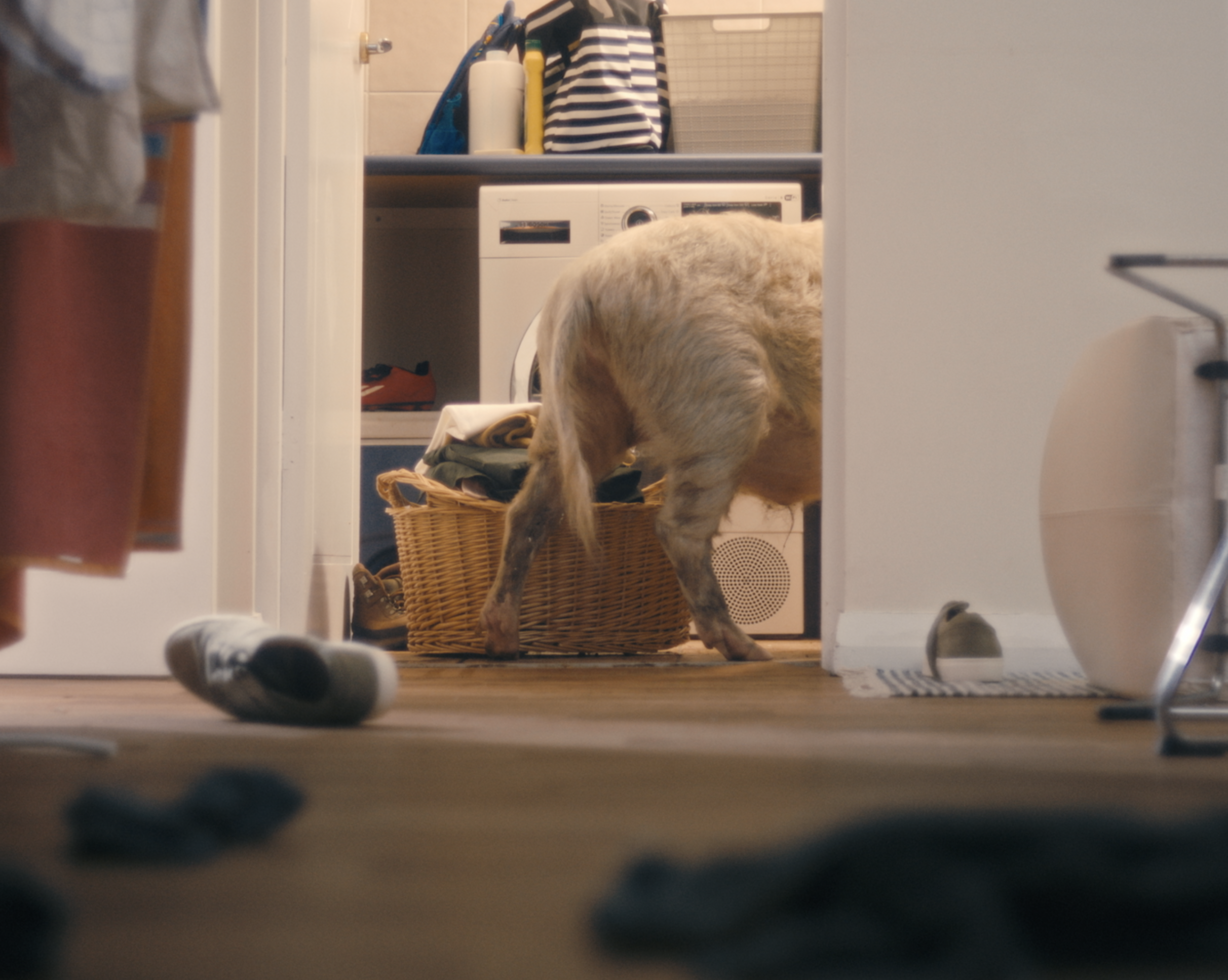 Screenshot 2024-09-09 at 2.42.40 pm.png