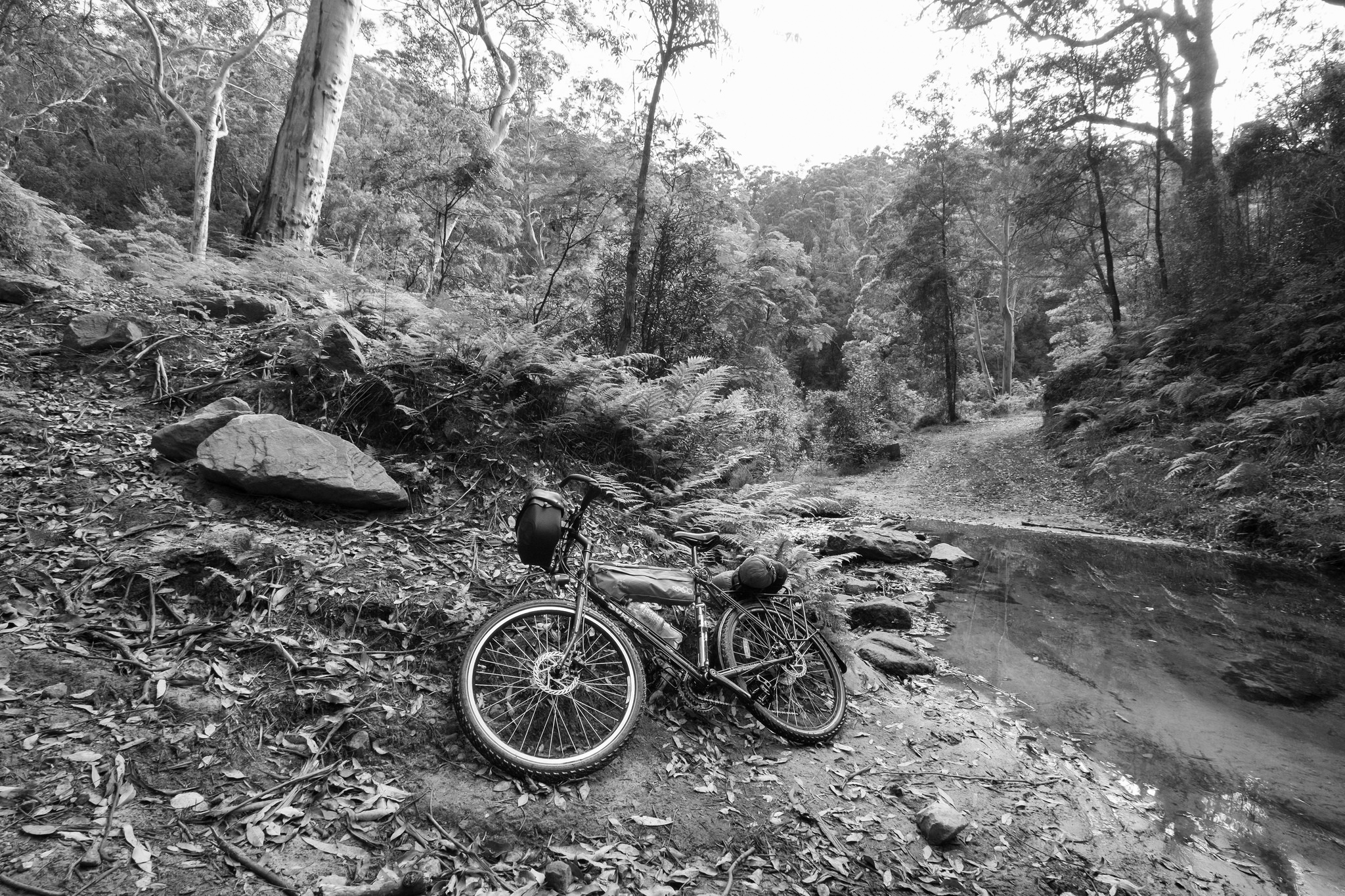 Surly Disc Trucker on Andersons Firetrail, Blue Mountains, Australia