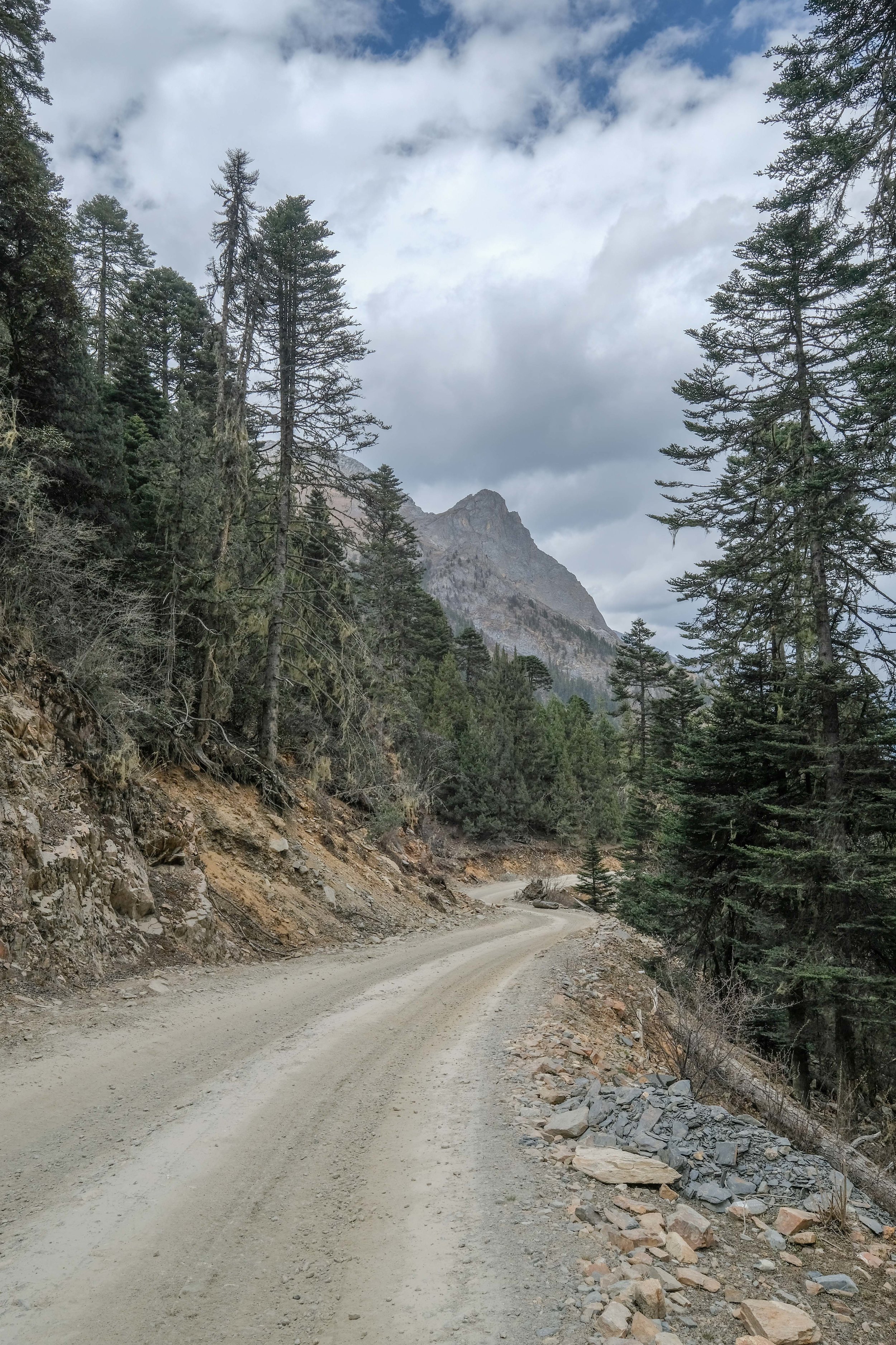 SecretRoadYunnan_lo-res-2984.jpg
