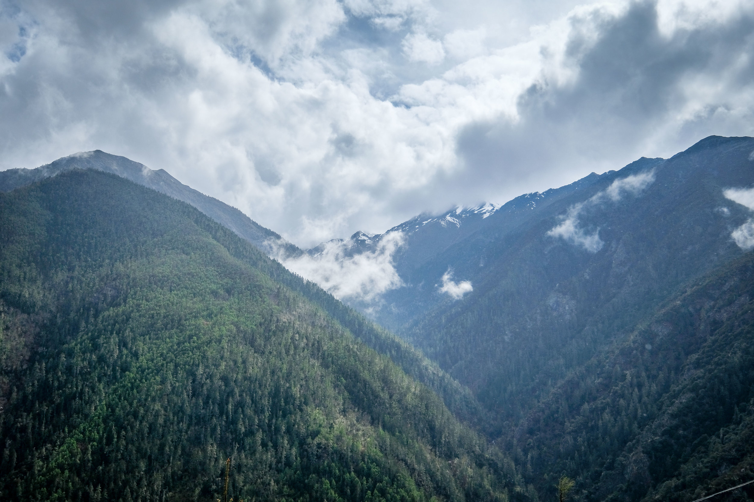 Yading-Daocheng-Litang-3055.jpg