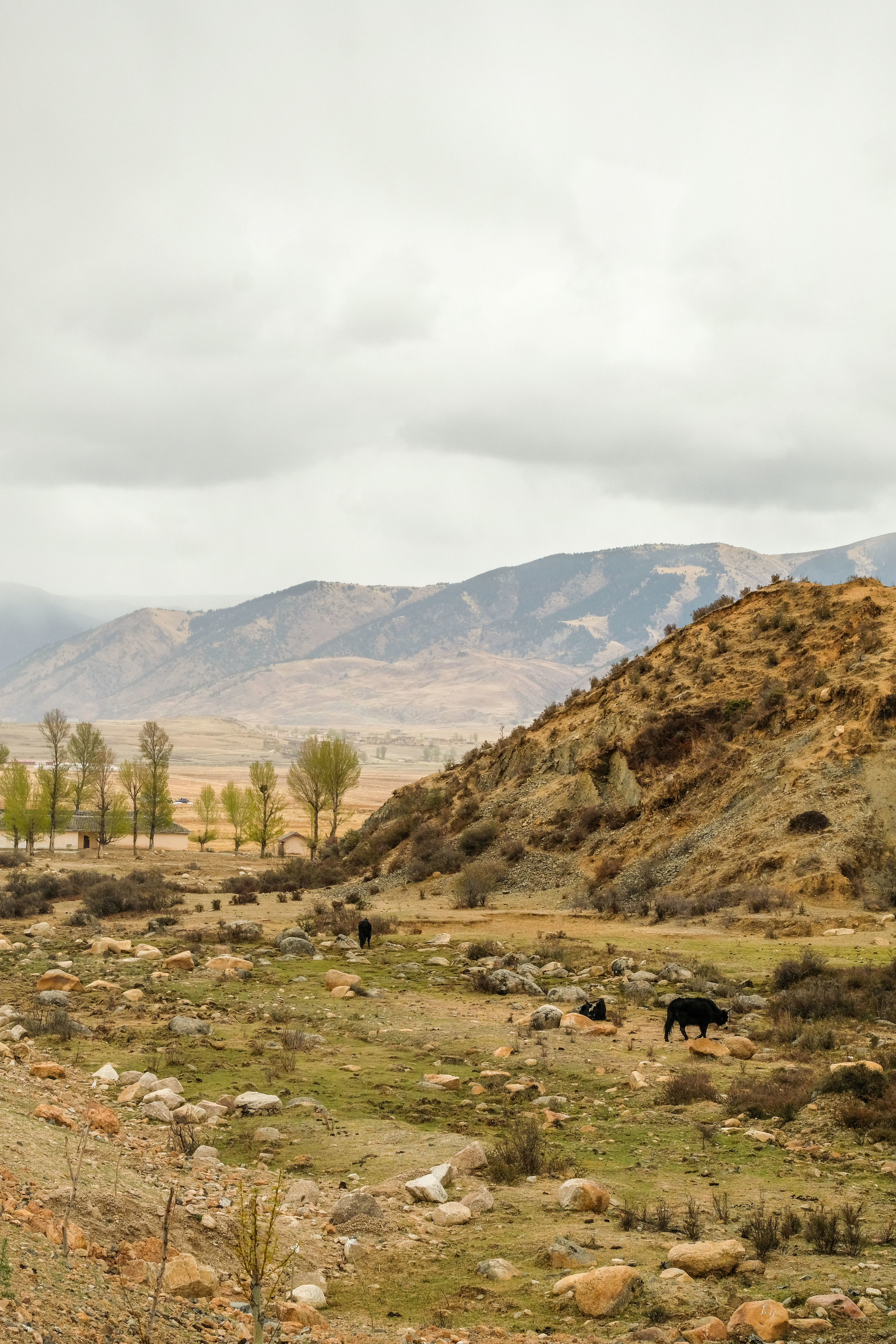 Yading-Daocheng-Litang-3267.jpg