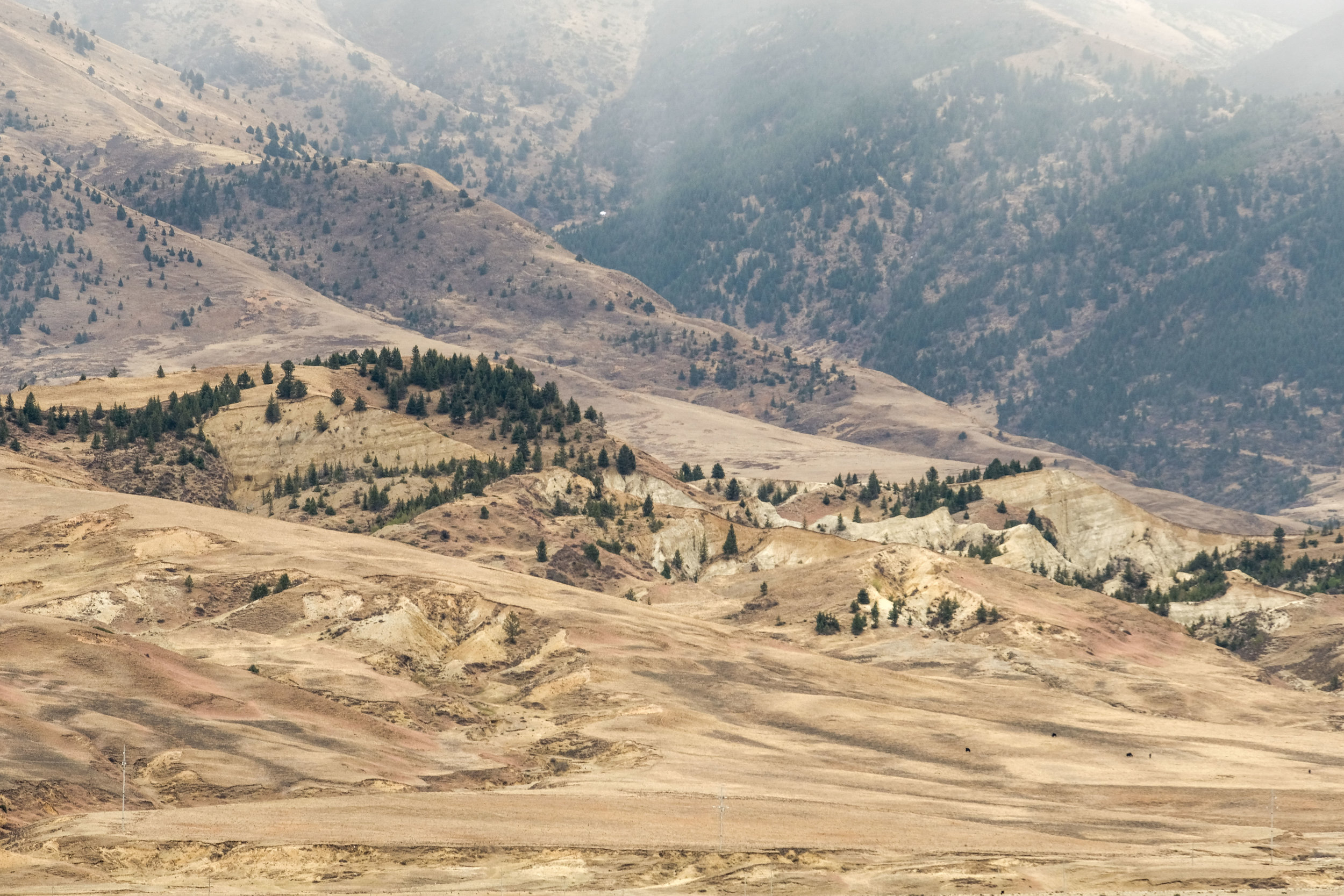 Yading-Daocheng-Litang-3276.jpg