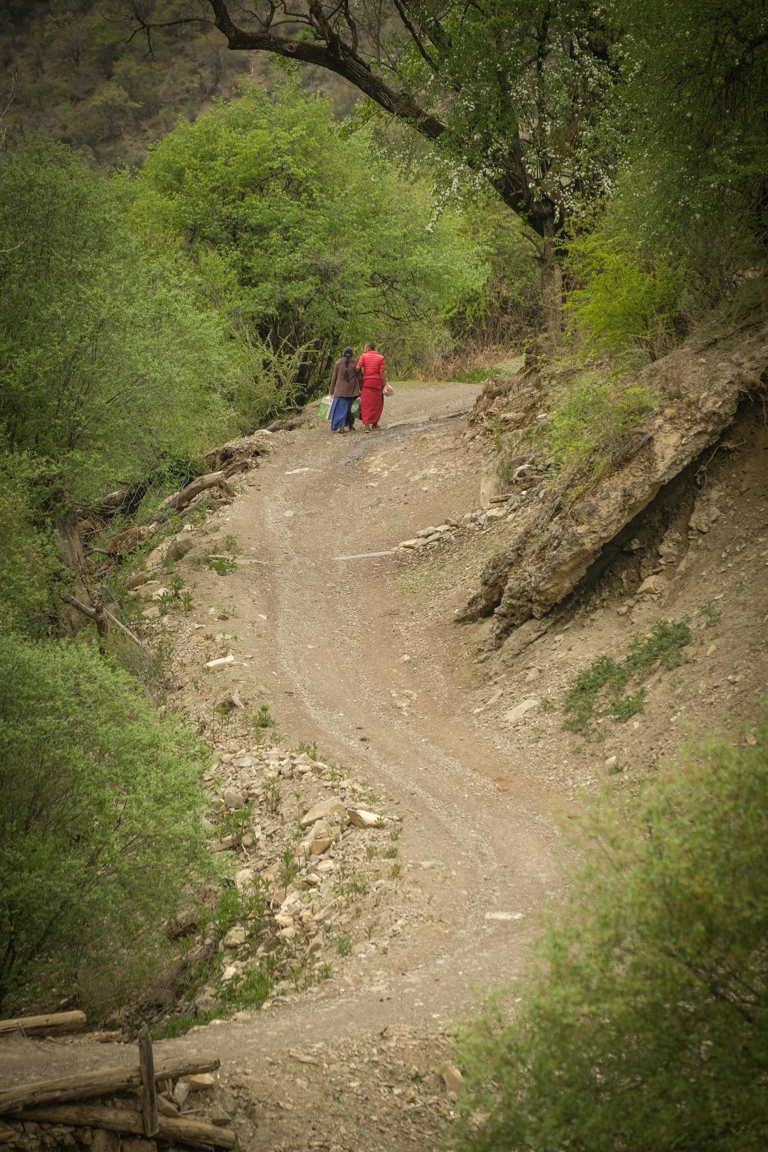 Litang to Xinlong-3512.jpg