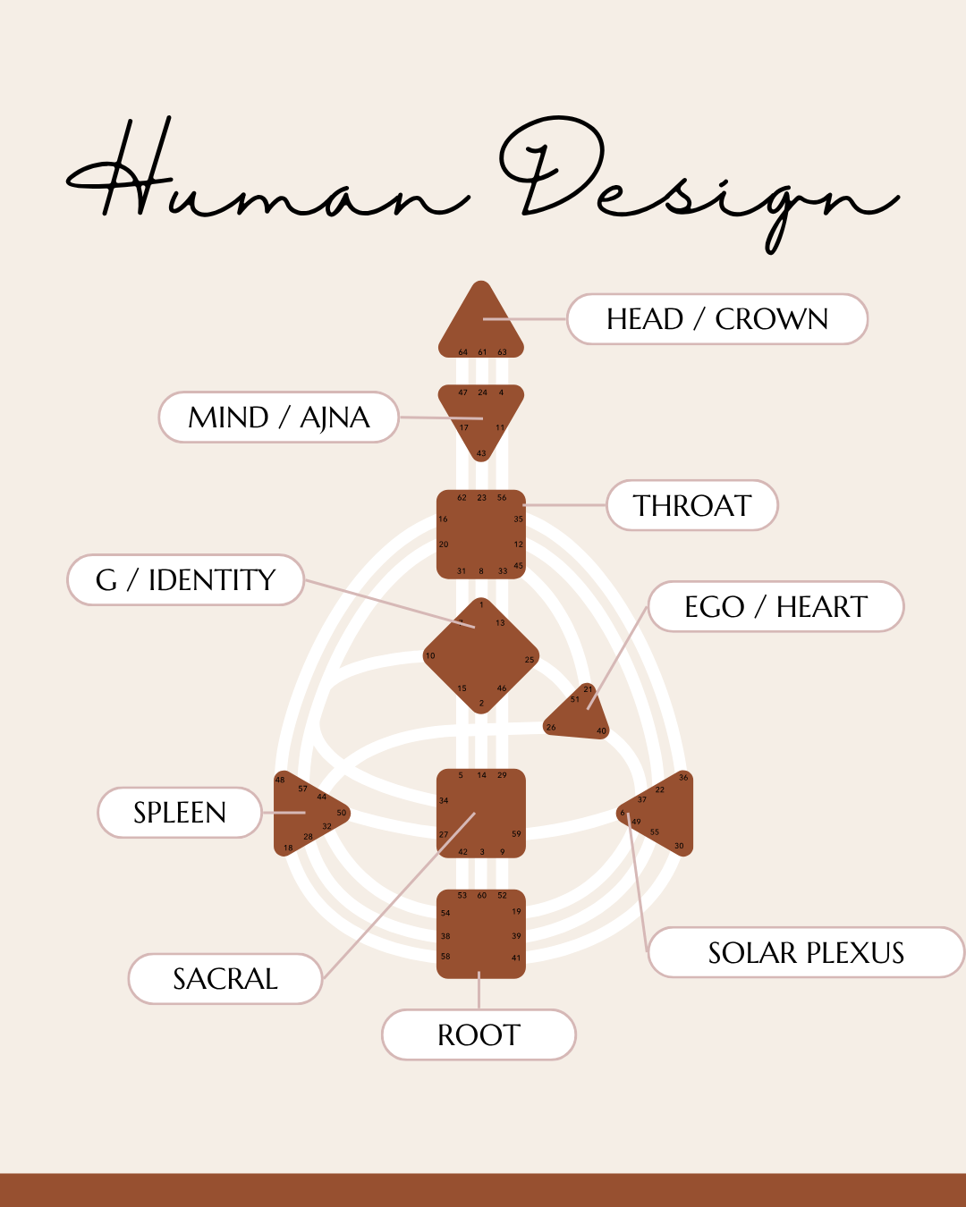 Human Design 2.png