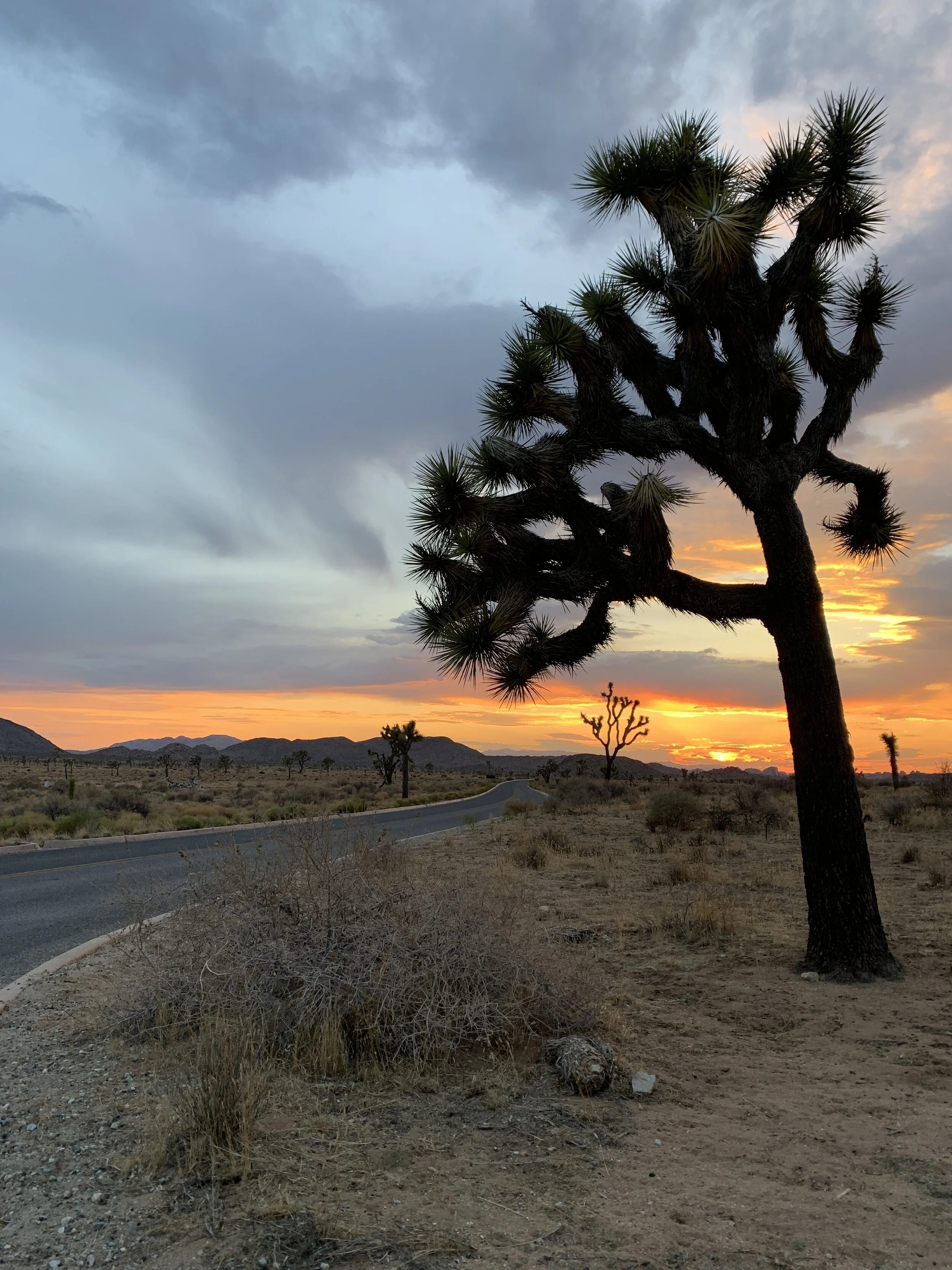 Connecting to Pachamama