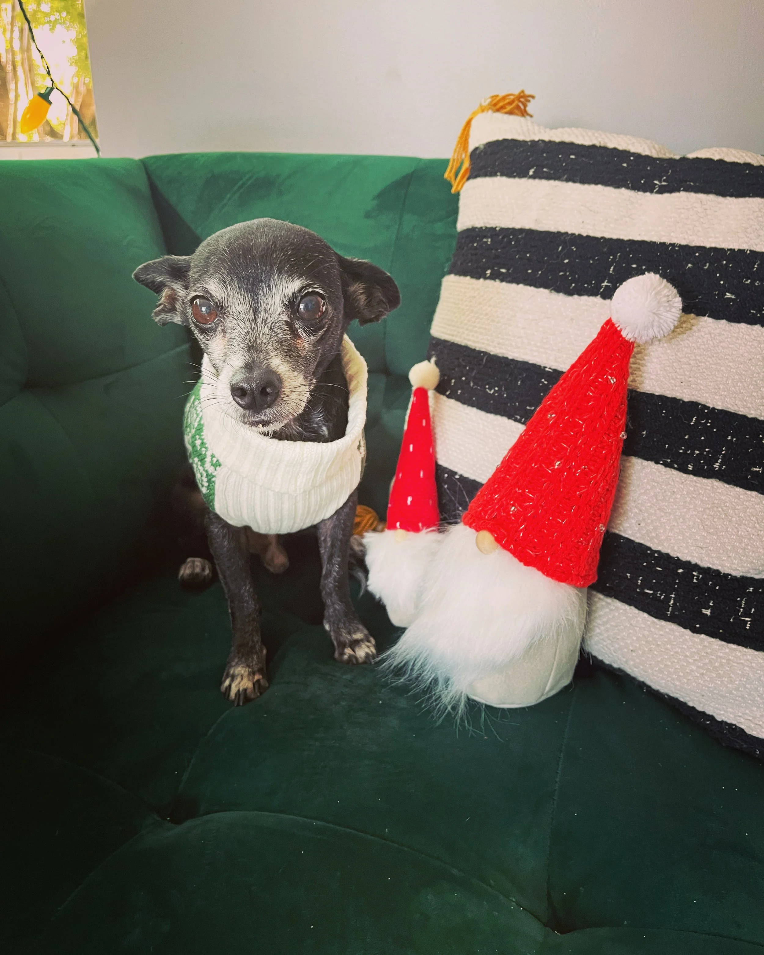 Holiday Checklist For Overwhelm