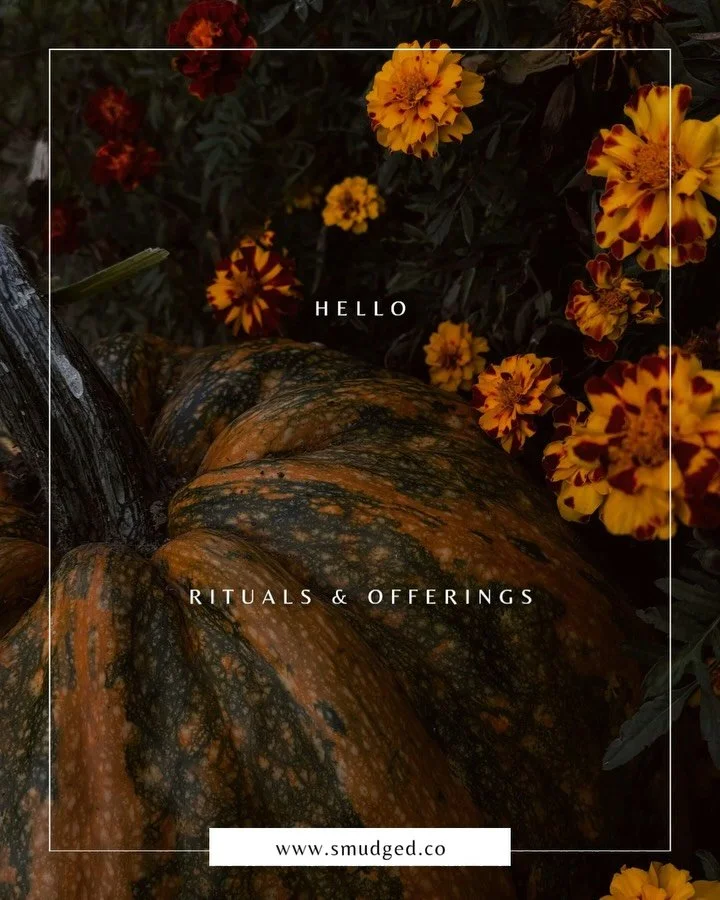 Happy Equinox Loves 🍂

The Fall Equinox reminds us: balance is not perfection. It&rsquo;s the dance between light + shadow, action + rest. 🌗

✨ Journaling, breathwork, connecting with the earth - simple ways to align with today&rsquo;s energy. Sugg