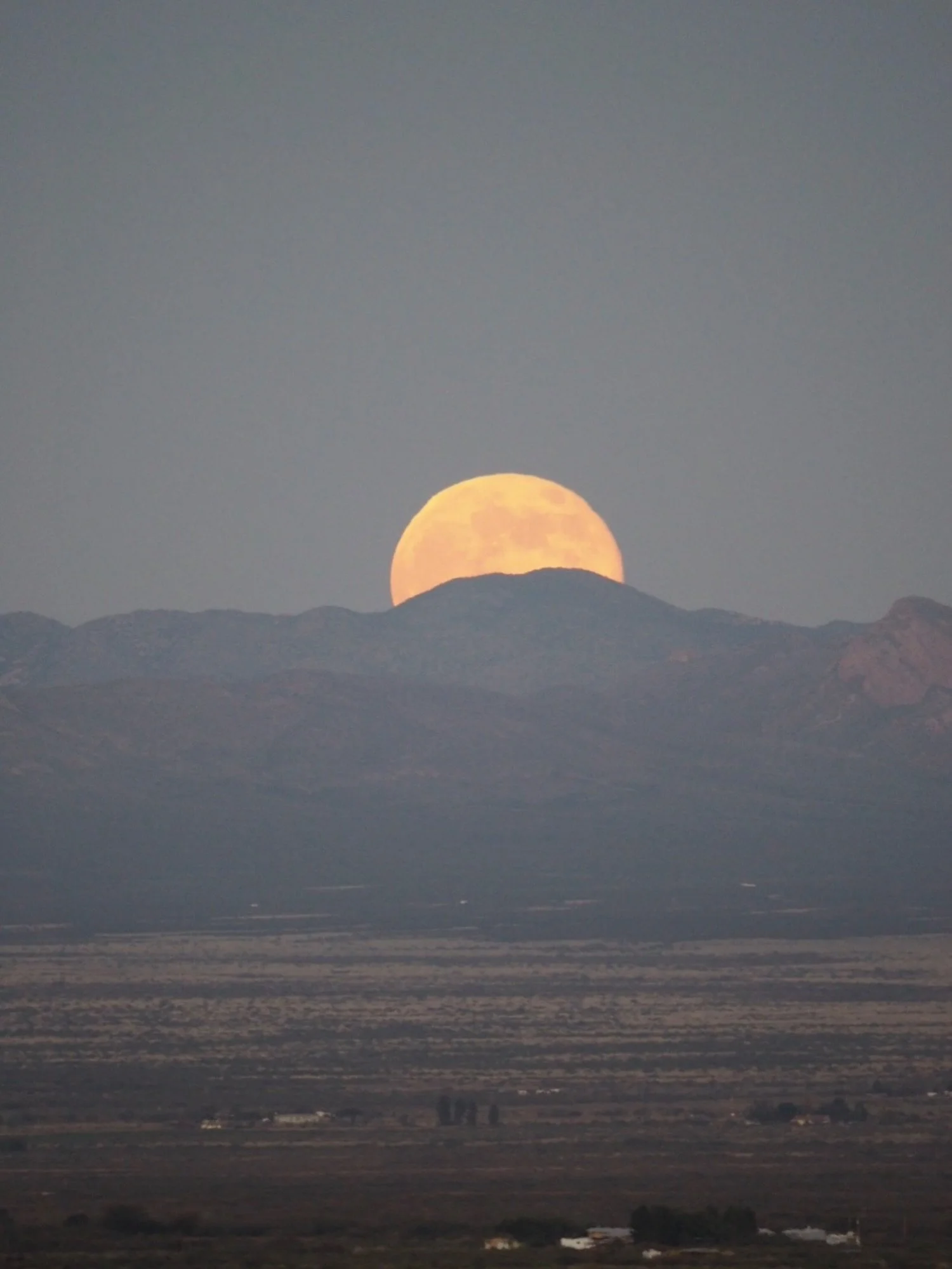 🌕 Tonight&rsquo;s Blue Moon is a Sagittarius Full Moon. And she is asking something of us.

Sagittarius is the sign that sees the mountain, climbs it, reaches the top, and immediately looks for the next one. It is pure, unstoppable forward motion. I