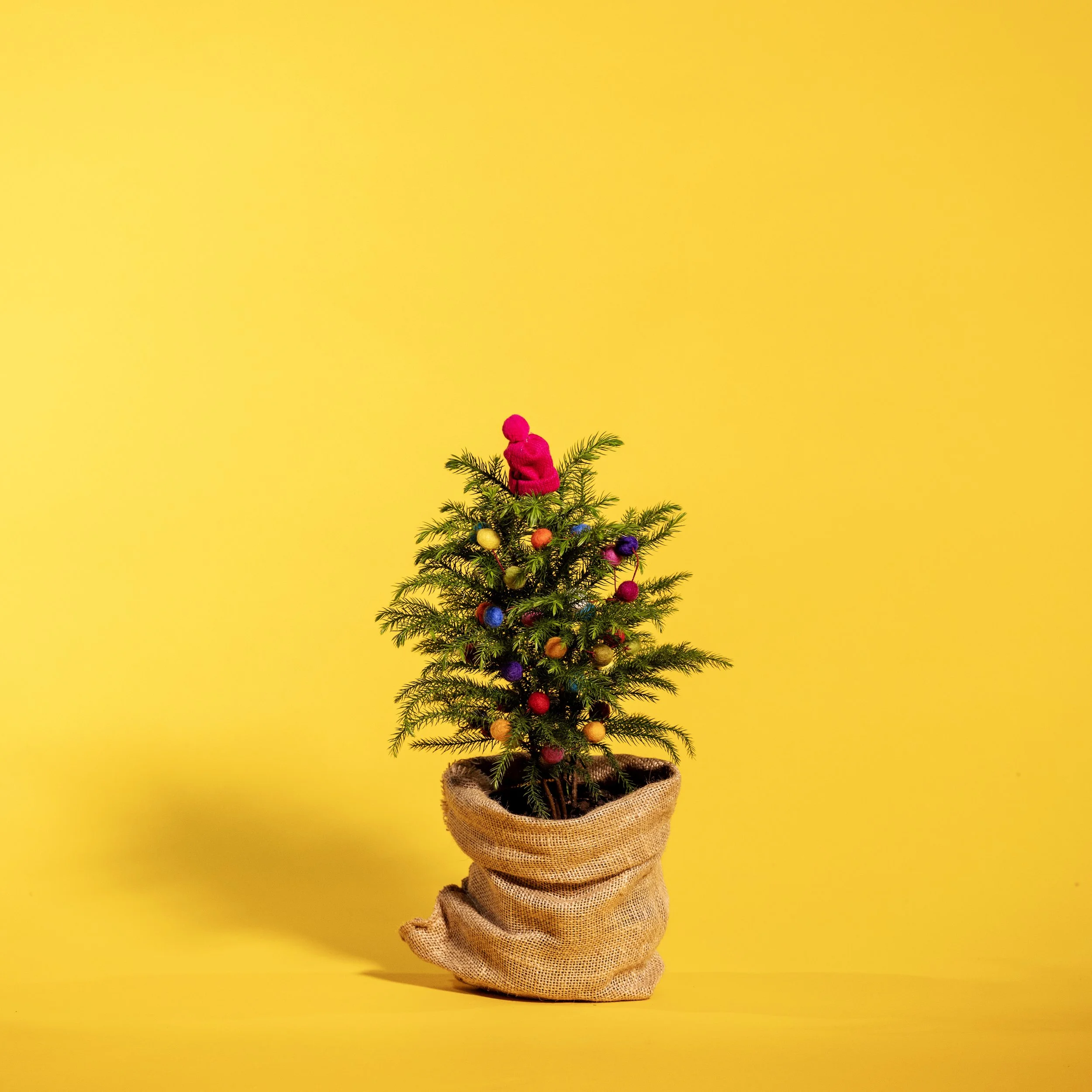 cc_2022wreathsandtrees_1530 copy.jpg