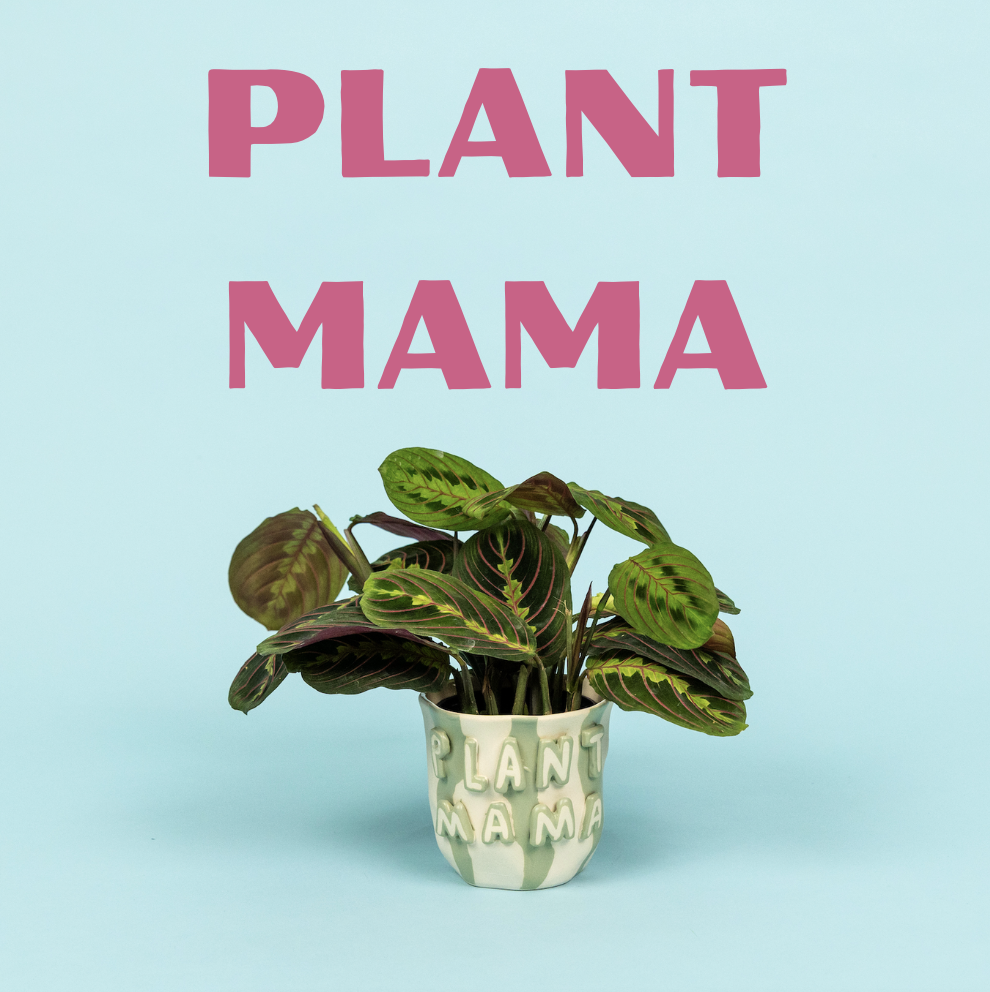 Screenshot 2026-04-17 at 1.56.11 PM.png