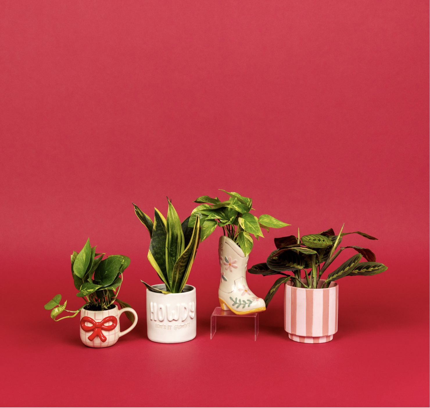 Plant Options - Love's Travel Stops