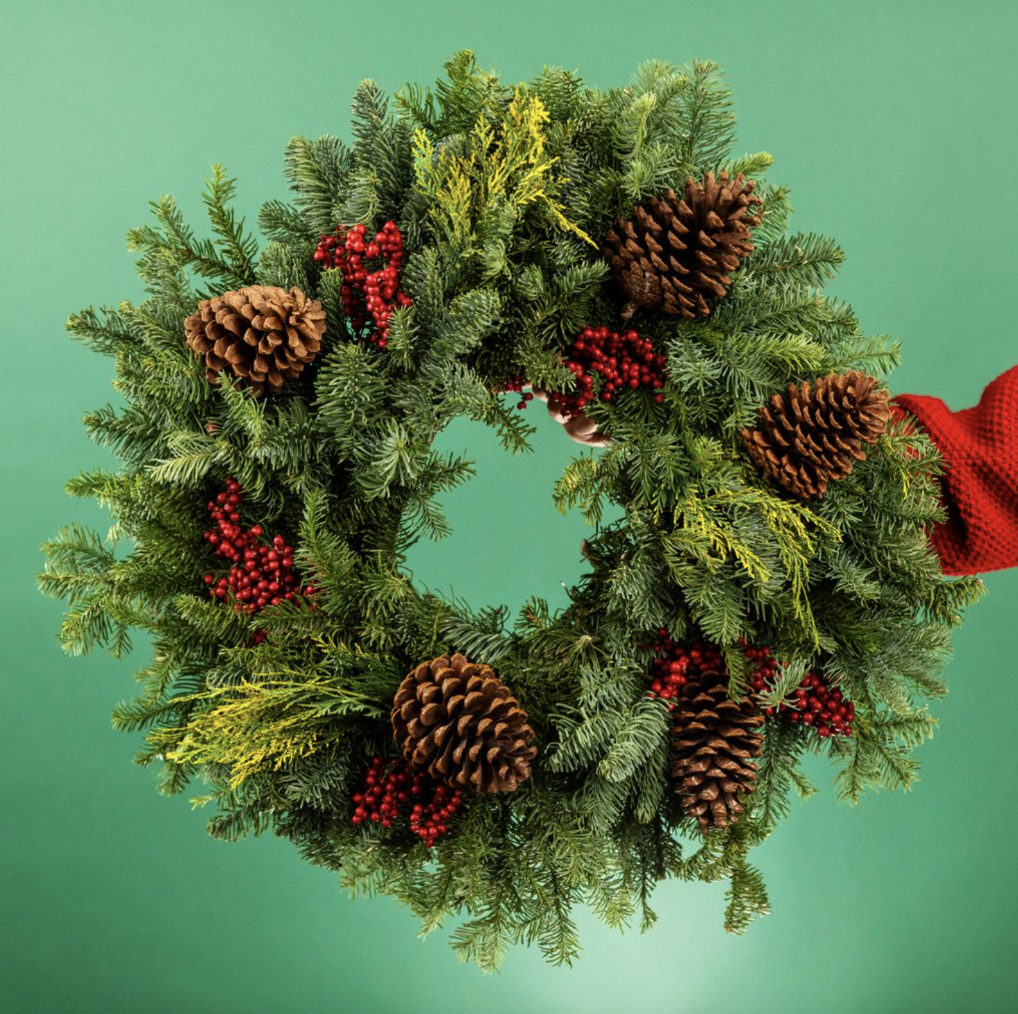 Screenshot 2025-11-05 at 6.52.10 AM.png