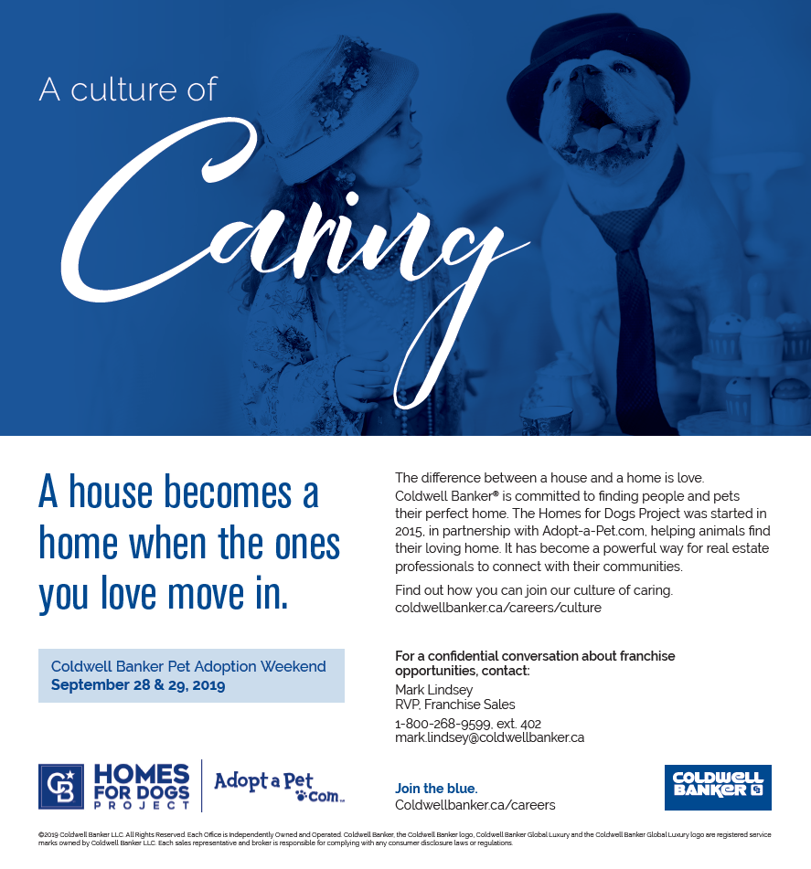 Homes for Dogs August 2019.PNG