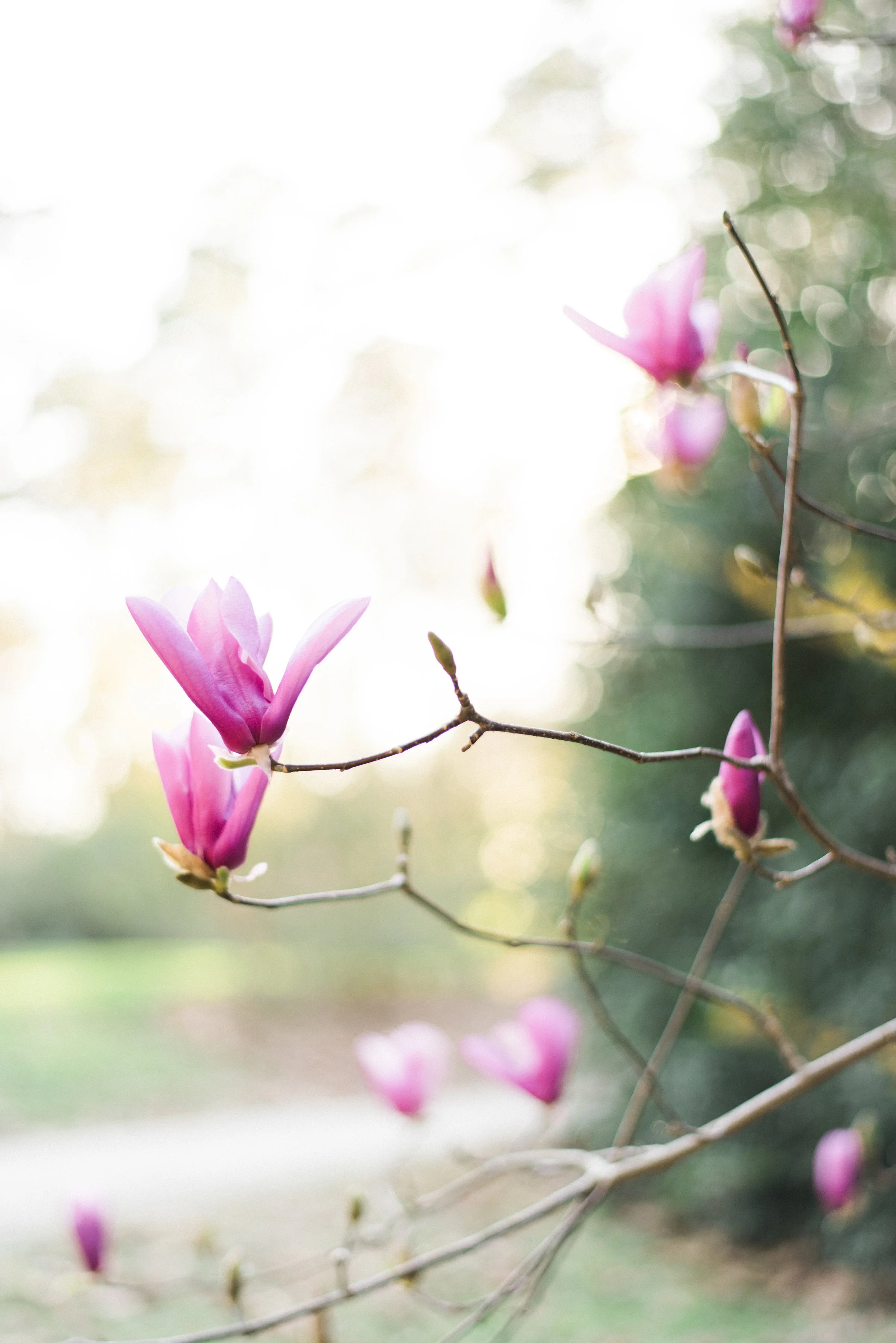 Radian Photography