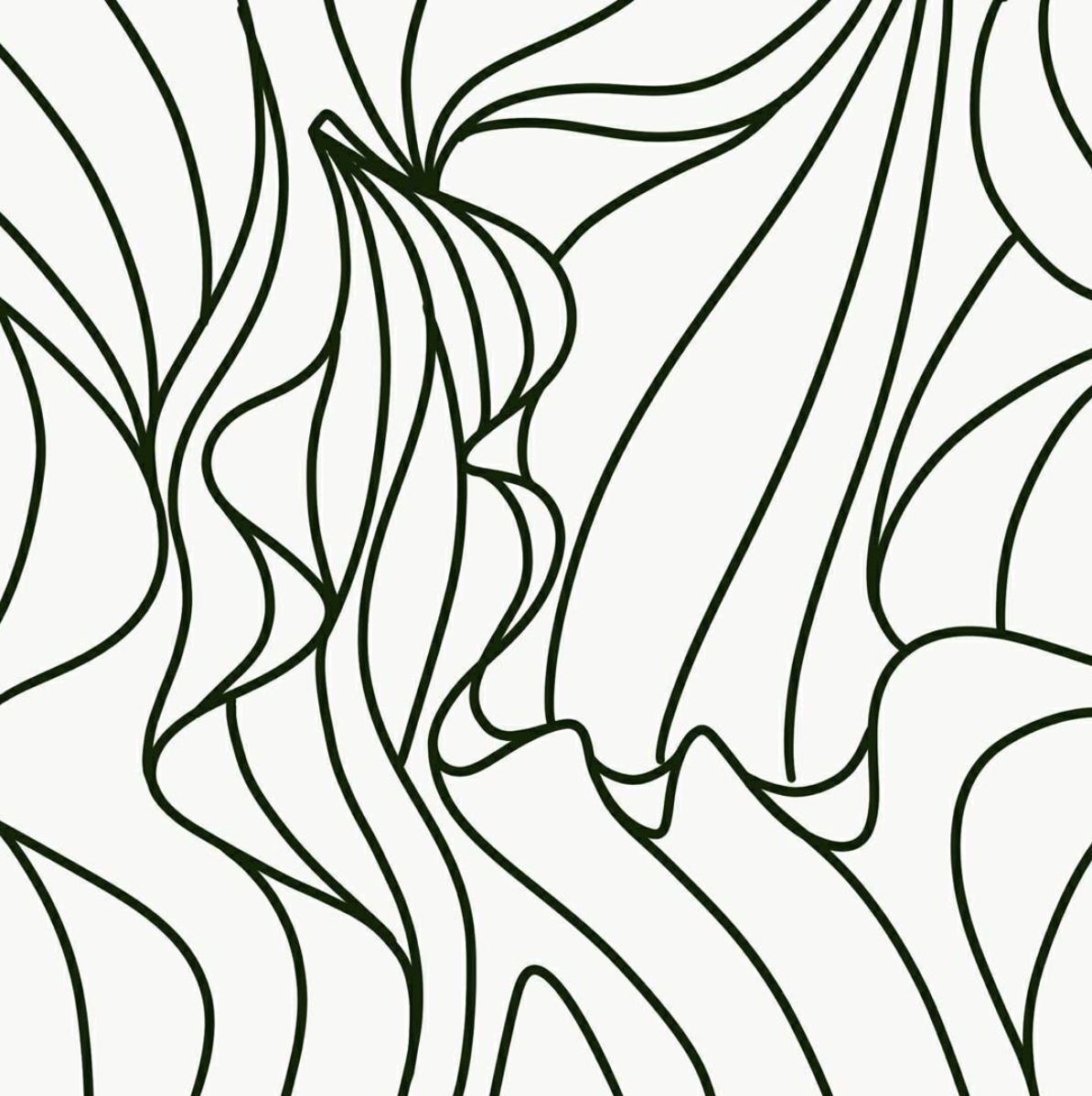 Rory • Creative Type A